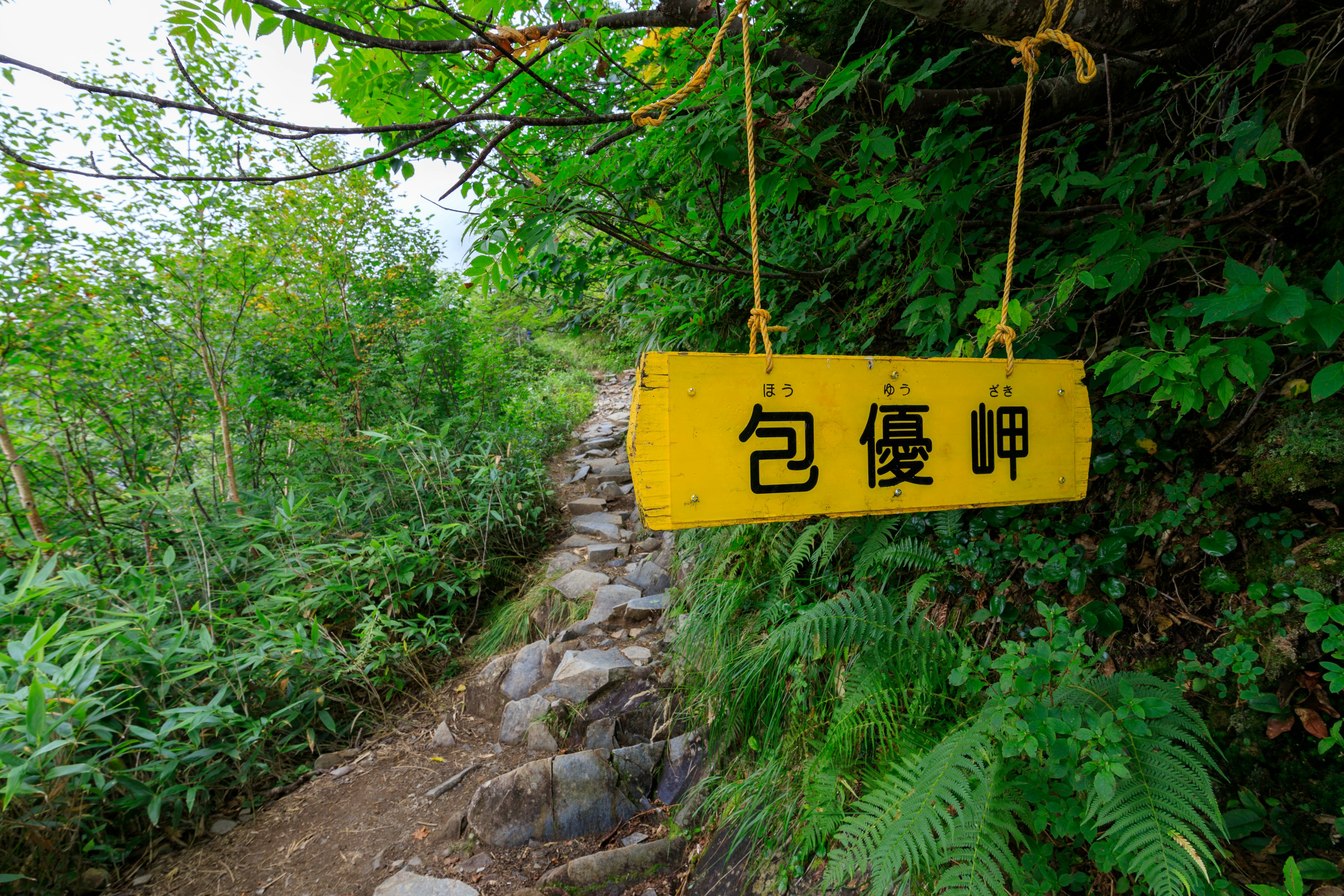 Un panneau jaune suspendu parmi des arbres verts le long d'un chemin avec les caractères pour 'Cap Bao You'