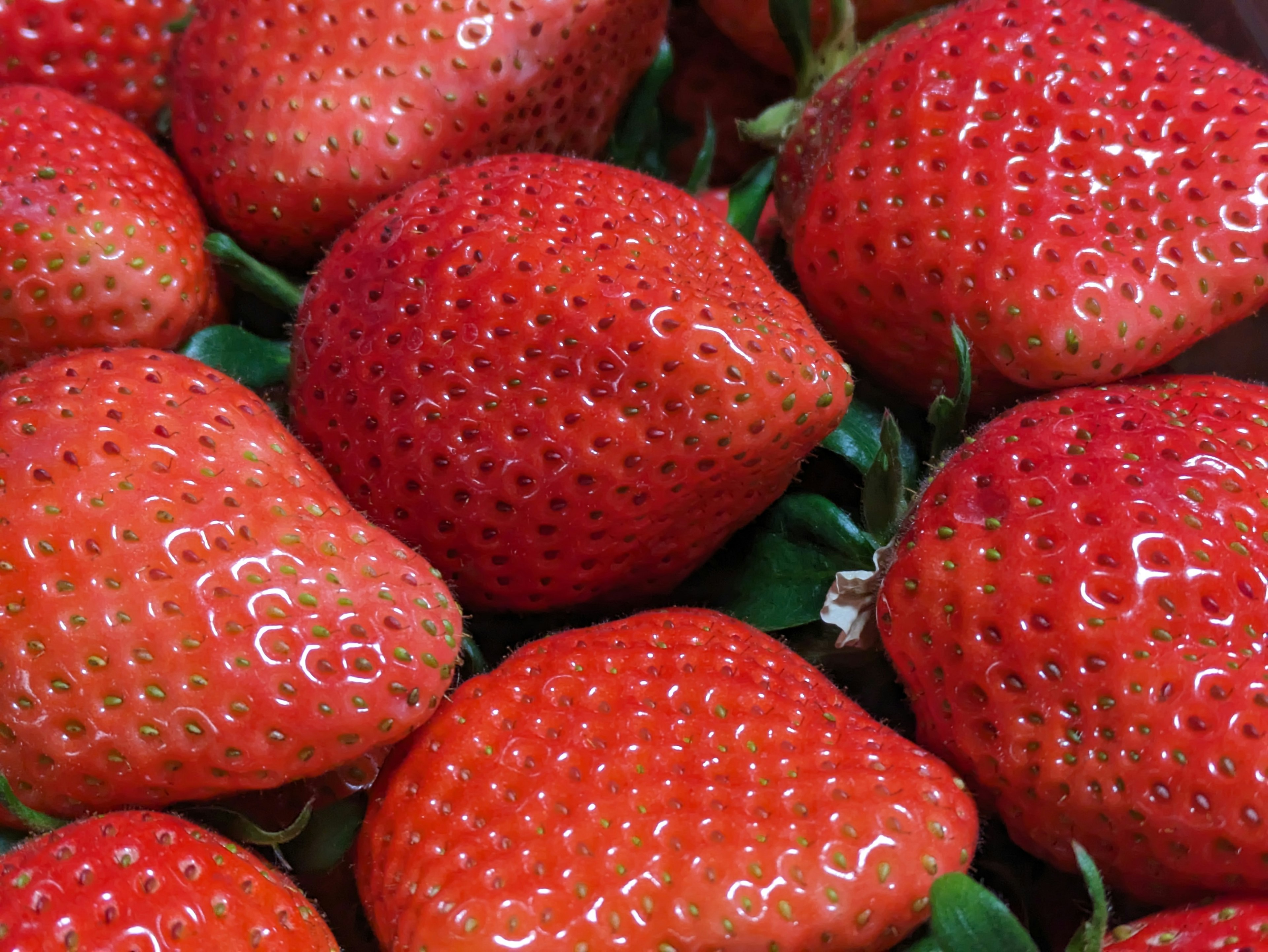 A cluster of vibrant red strawberries