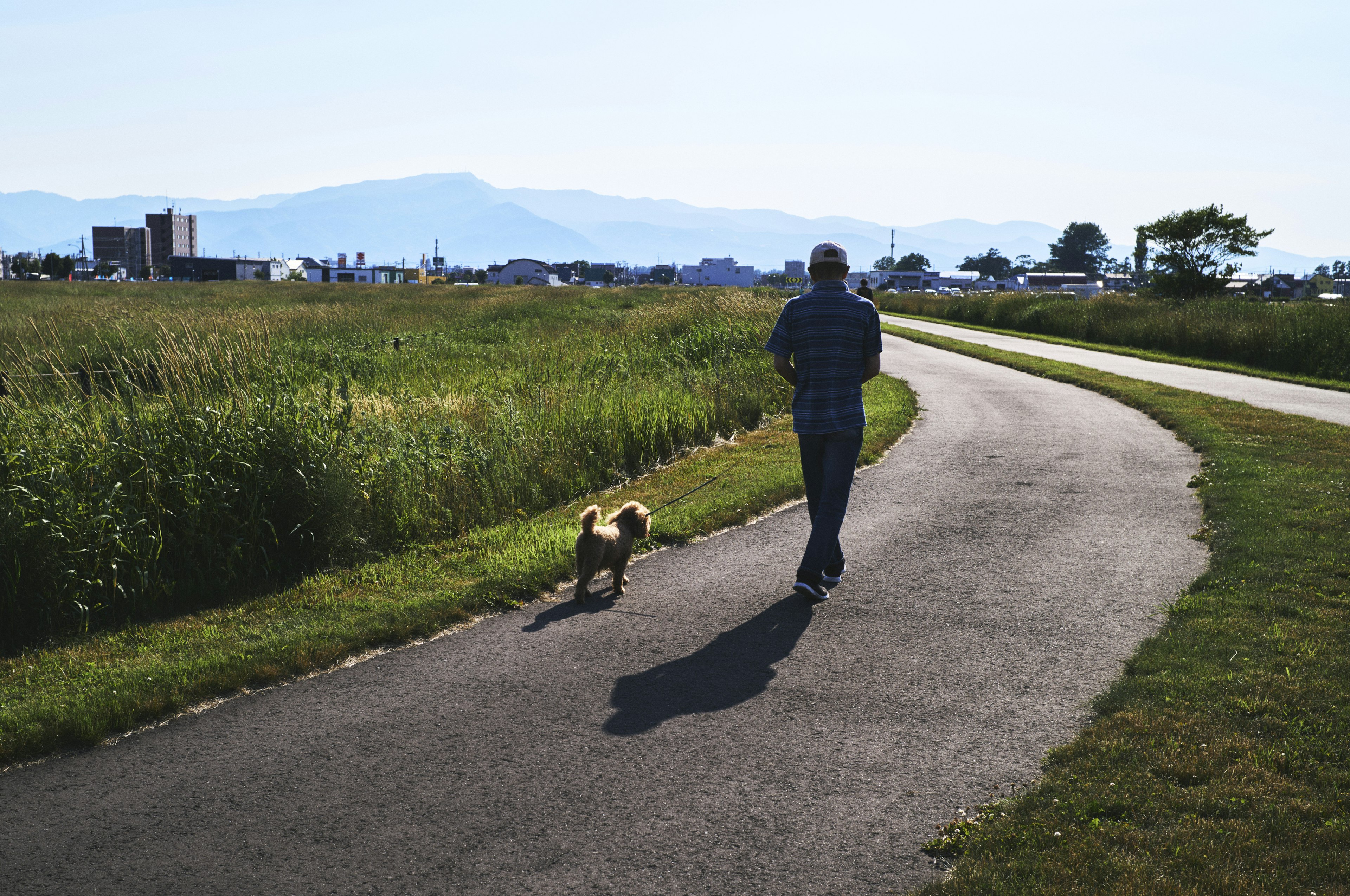 Hombre caminando con un perro por un camino verde