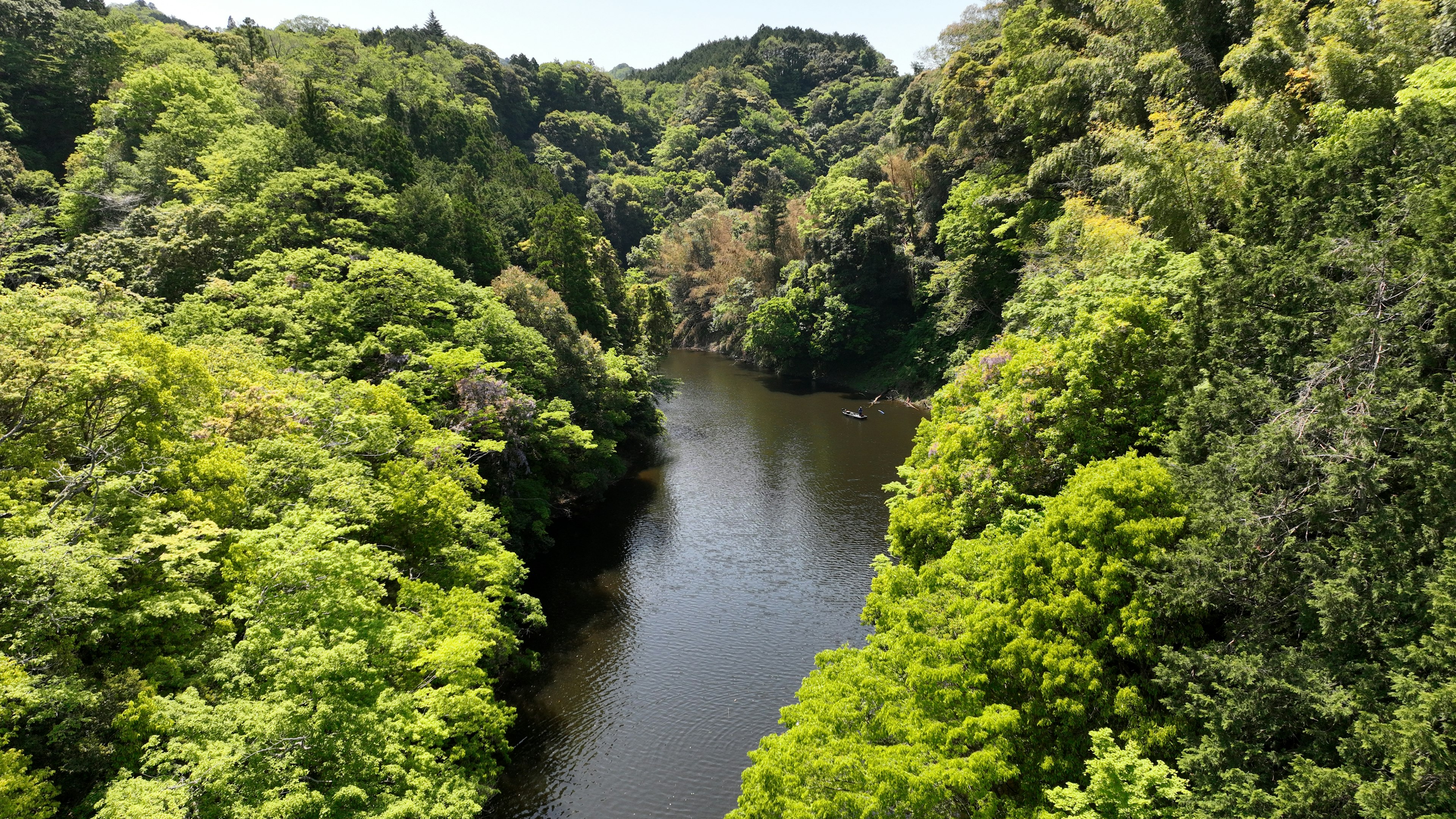 Ruhige Flusslandschaft umgeben von üppigem grünem Wald