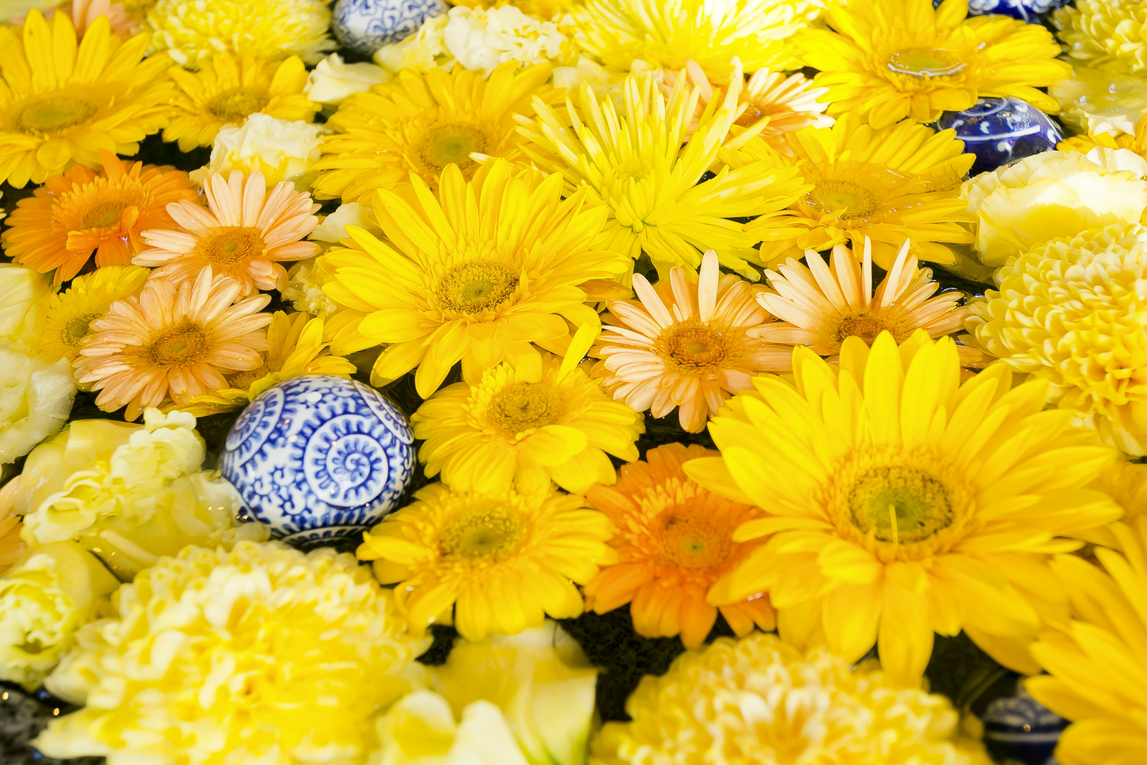 Flores amarillas y naranjas brillantes dispuestas en una composición floral