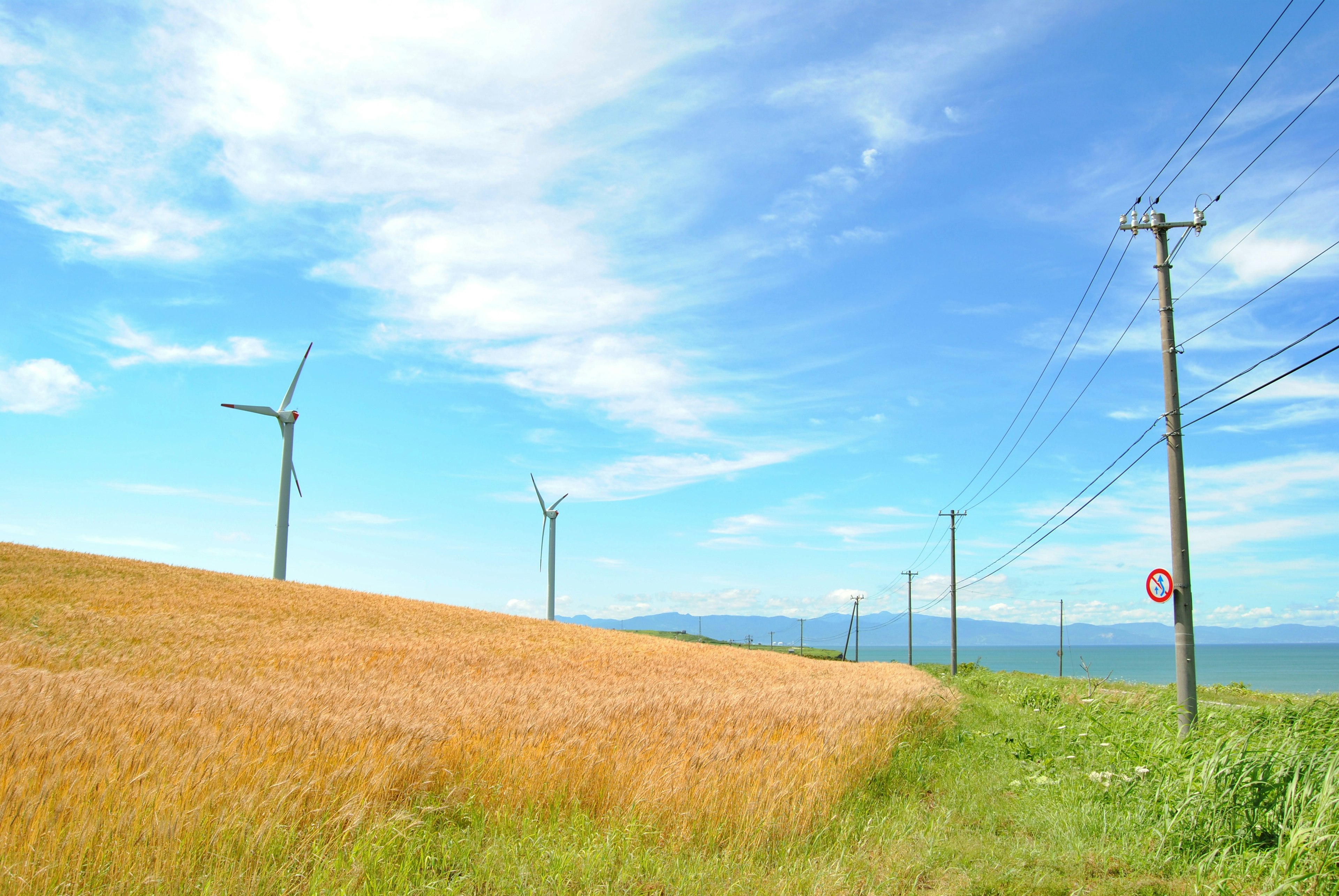 Campo di grano dorato sotto un cielo azzurro sereno con turbine eoliche