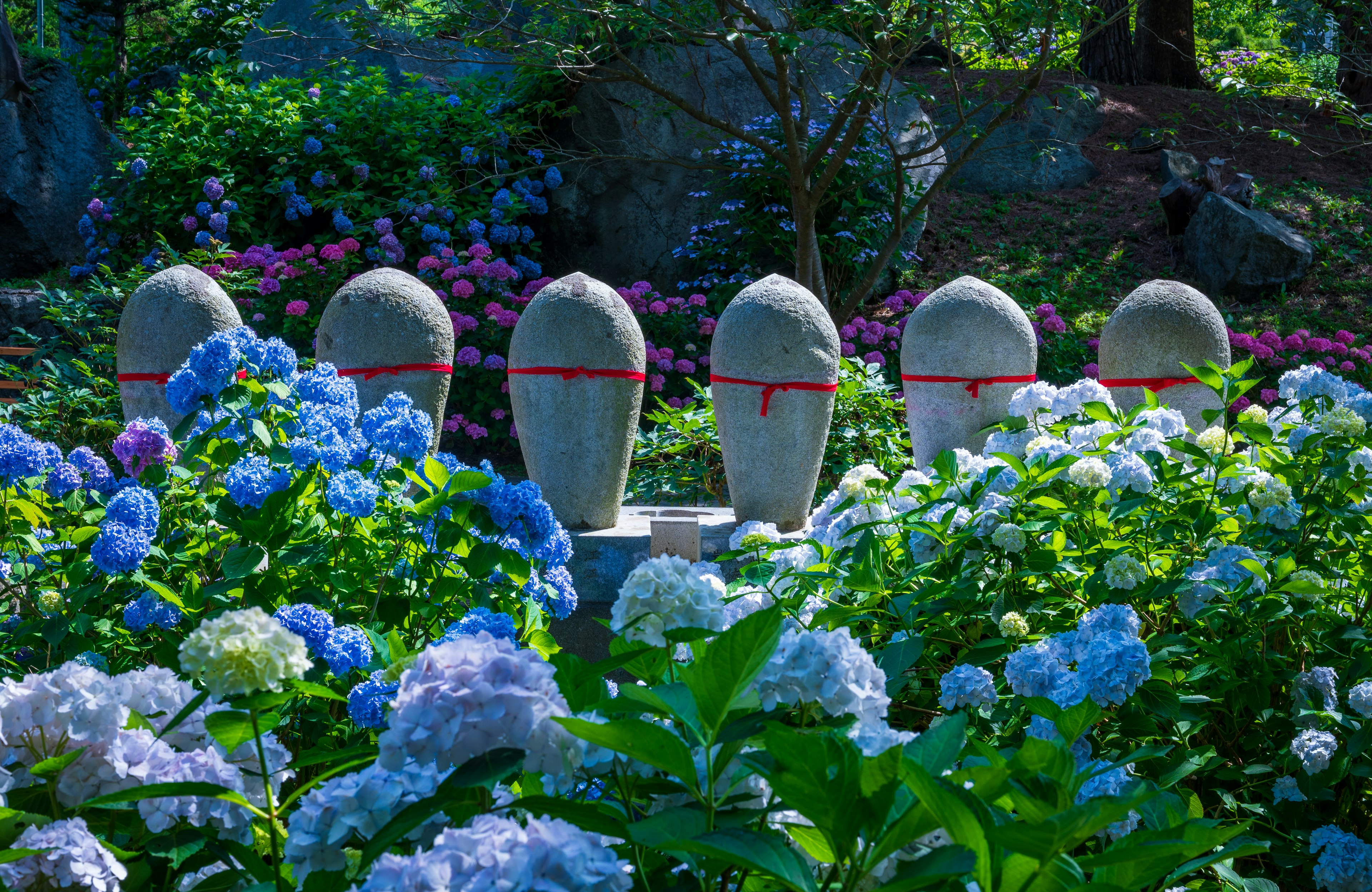 青い紫陽花に囲まれた石の彫刻群が並ぶ風景