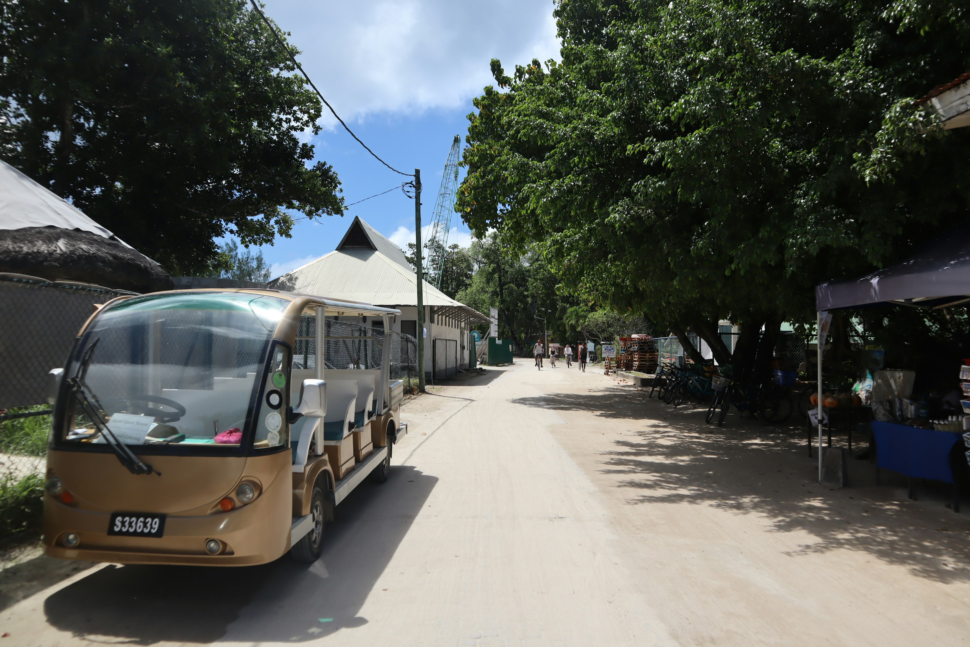 Bus kecil diparkir di jalan dengan pepohonan dan bangunan di dekatnya