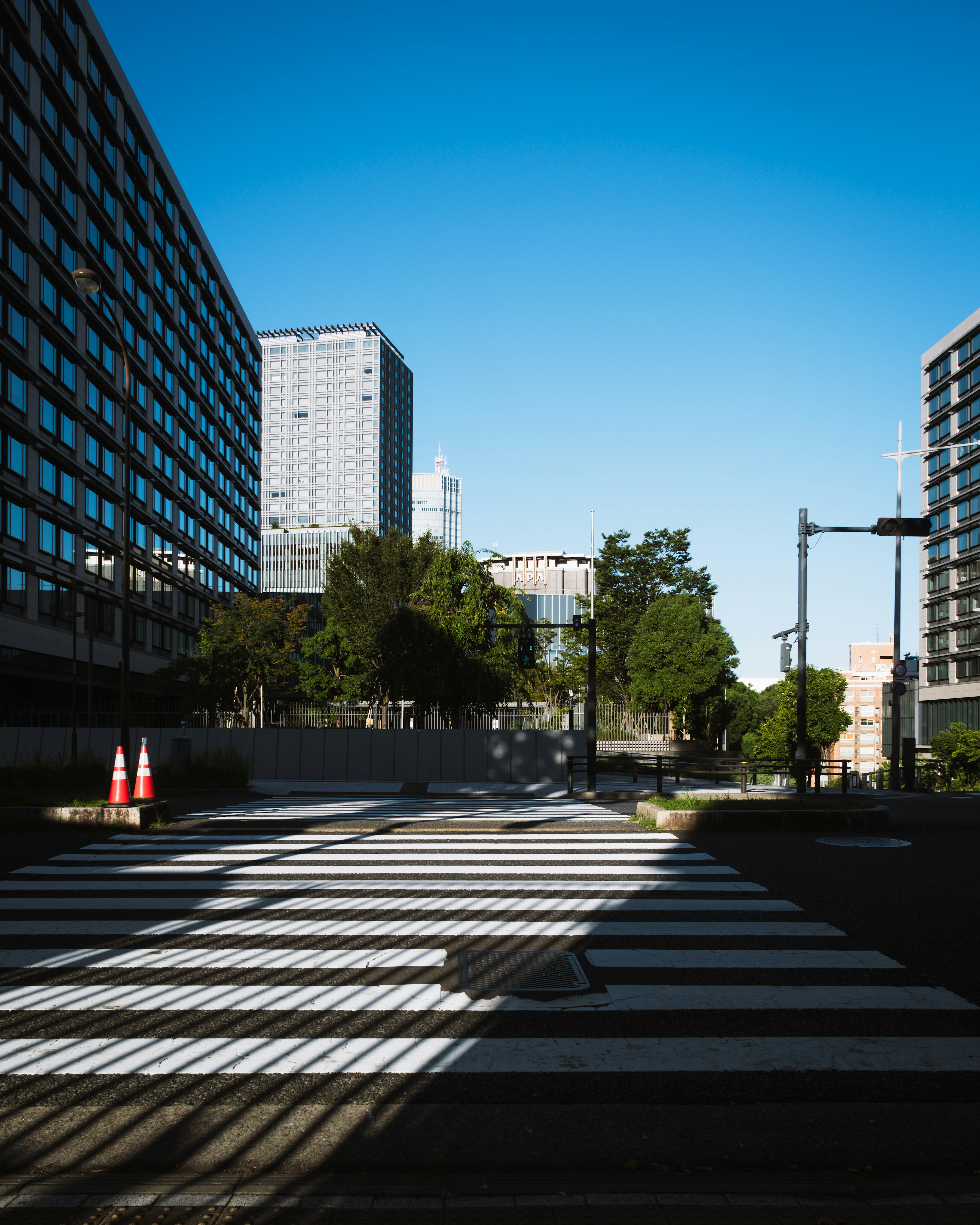 青空の下の横断歩道とビル群