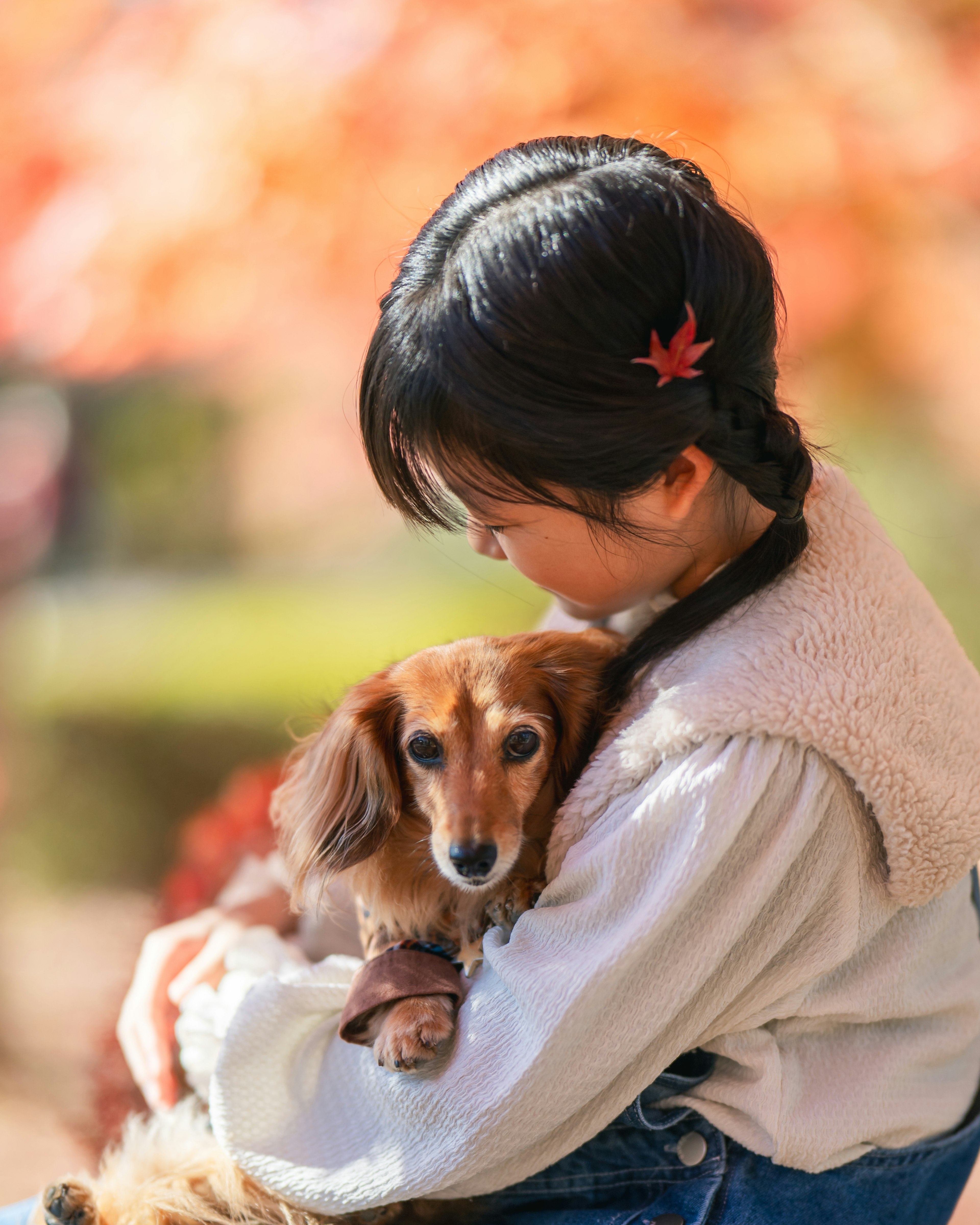 秋の風景の中で犬を抱く少女