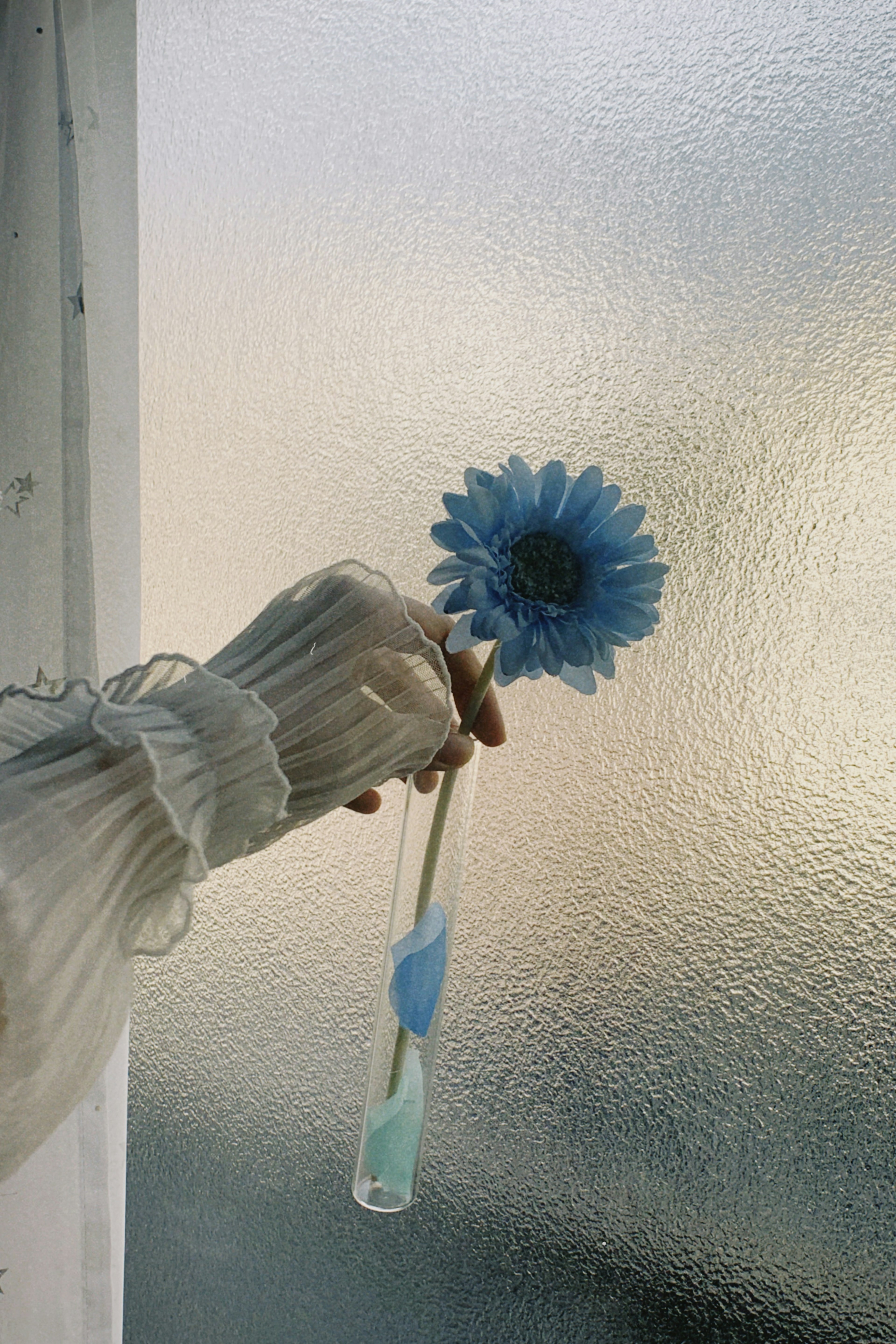 Une main tenant une fleur bleue devant une fenêtre givrée