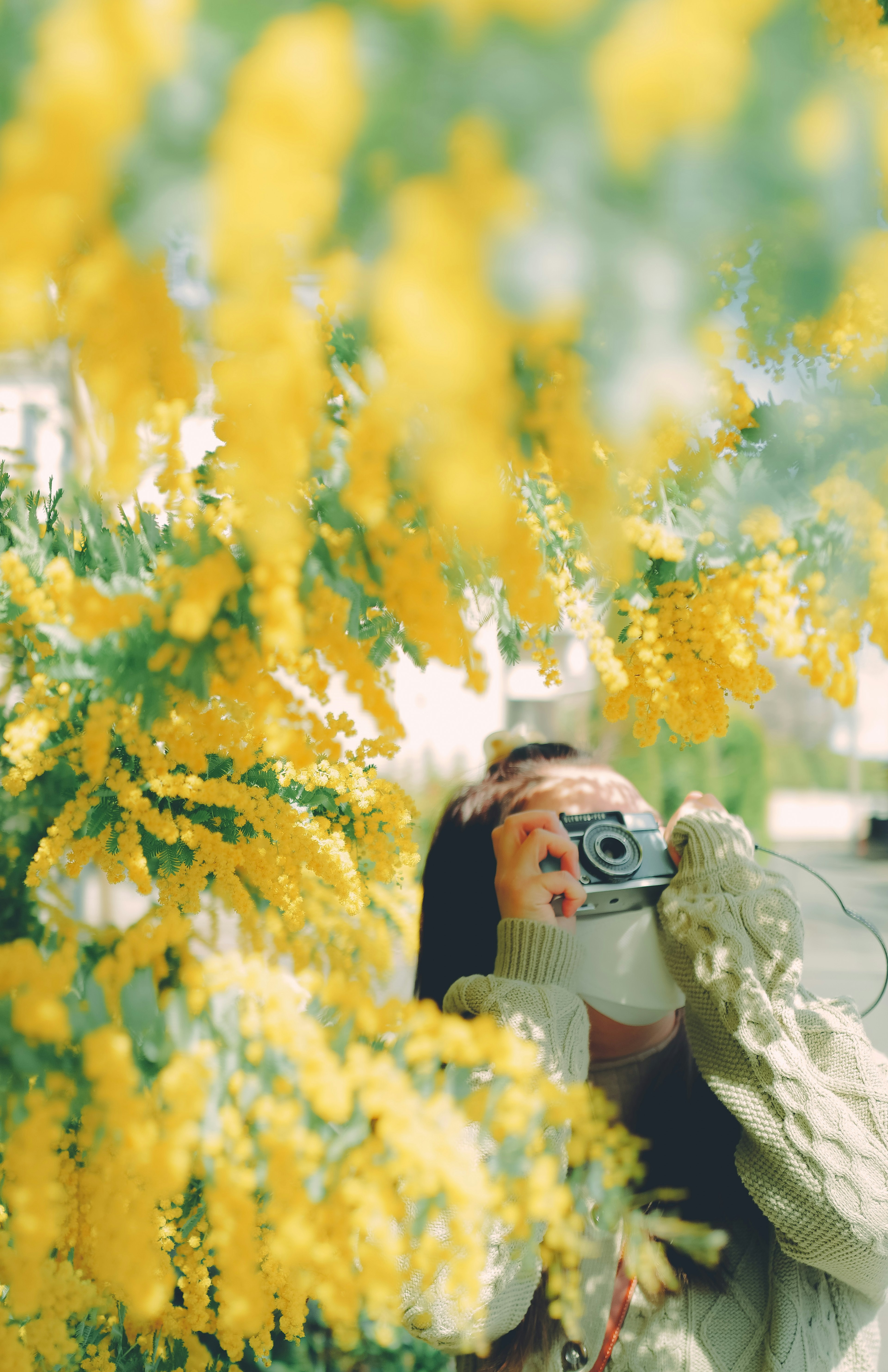 Femme prenant une photo avec un appareil photo entourée de fleurs jaunes