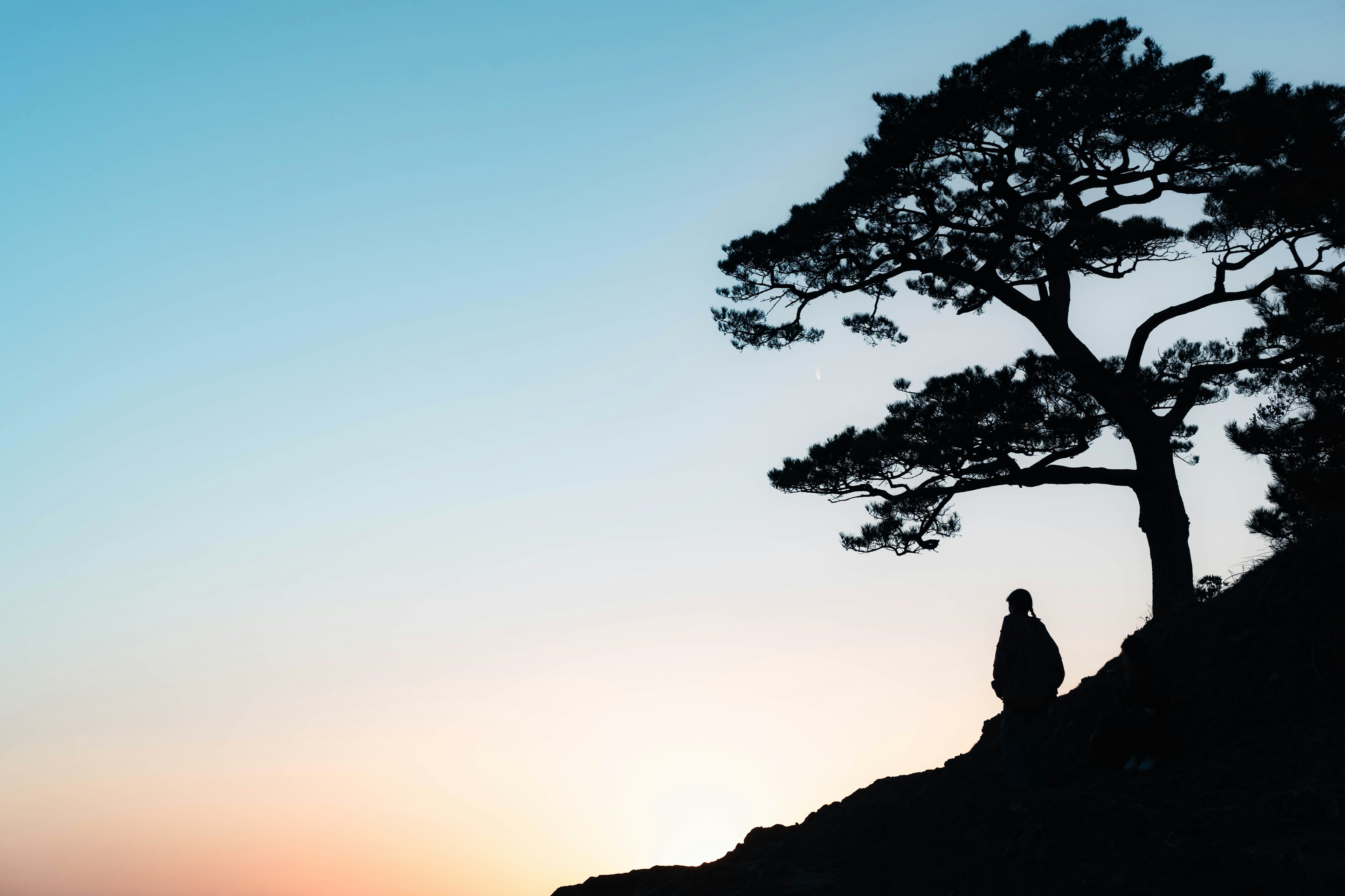 夕暮れの空とシルエットの木の下に座る人物