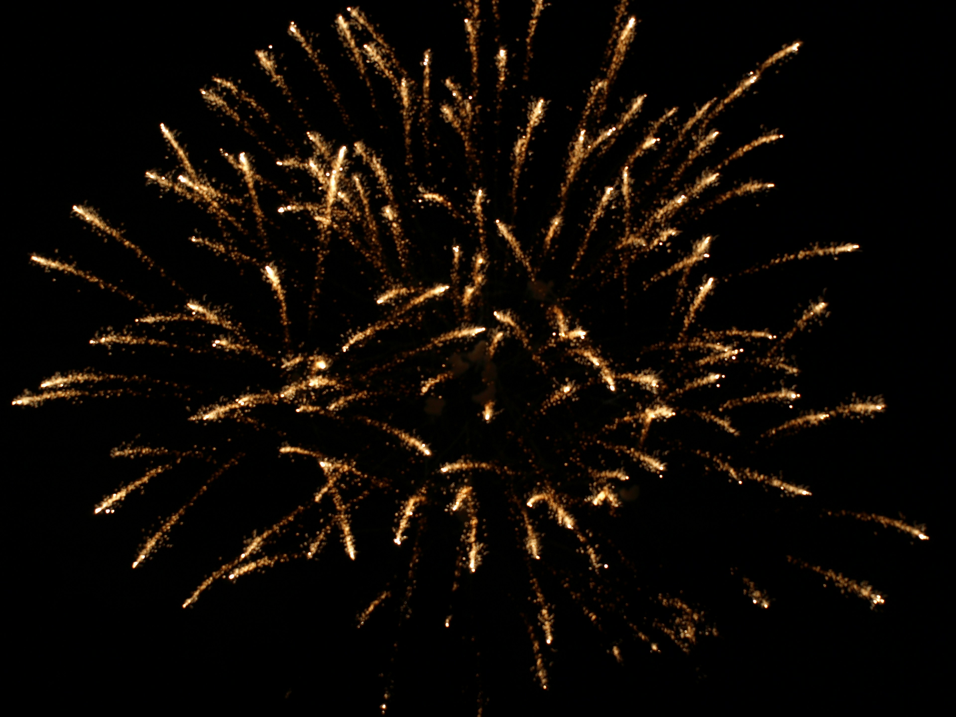 Golden fireworks bursting against a black background