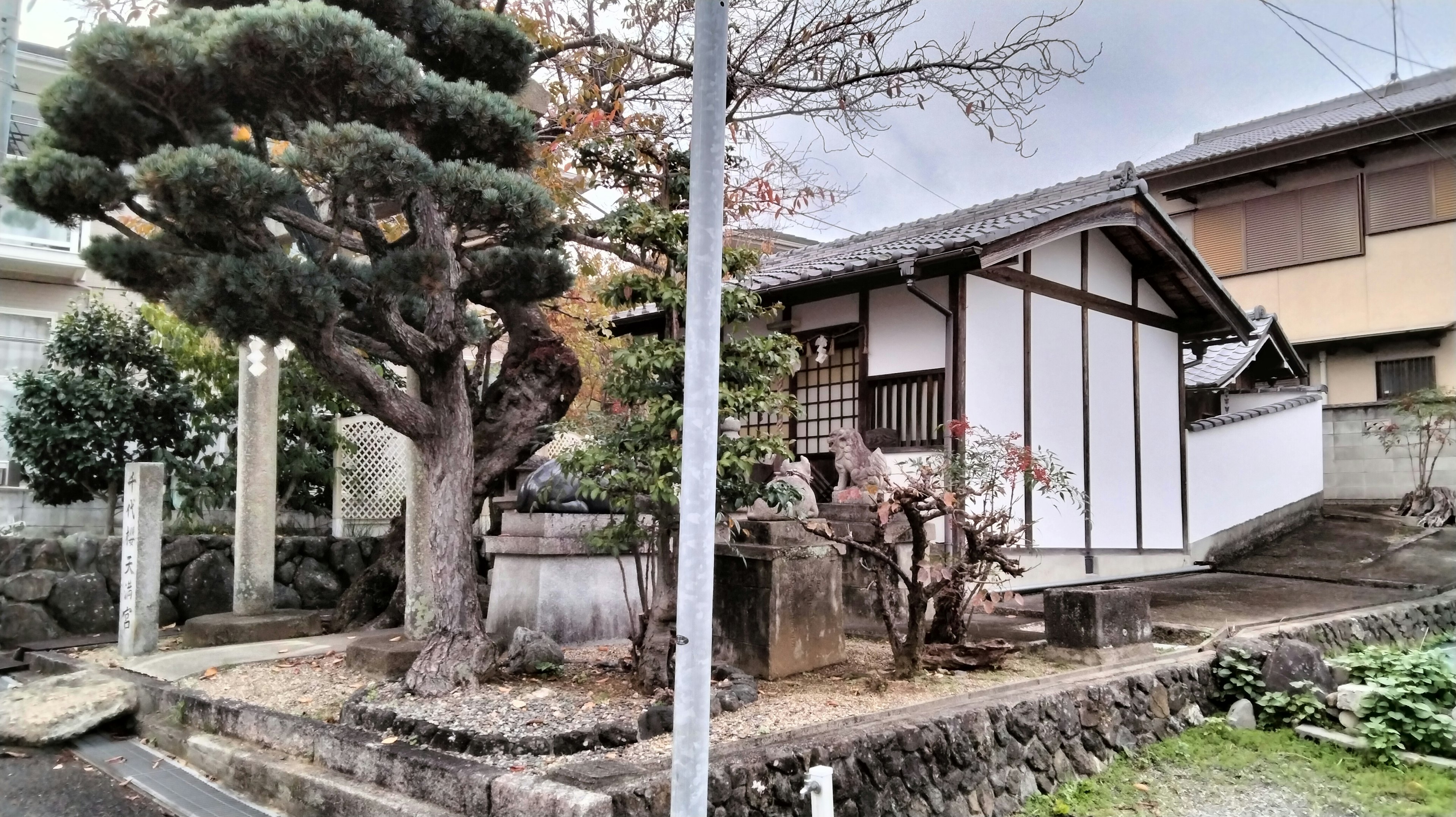 伝統的な日本家屋と庭木を持つ風景