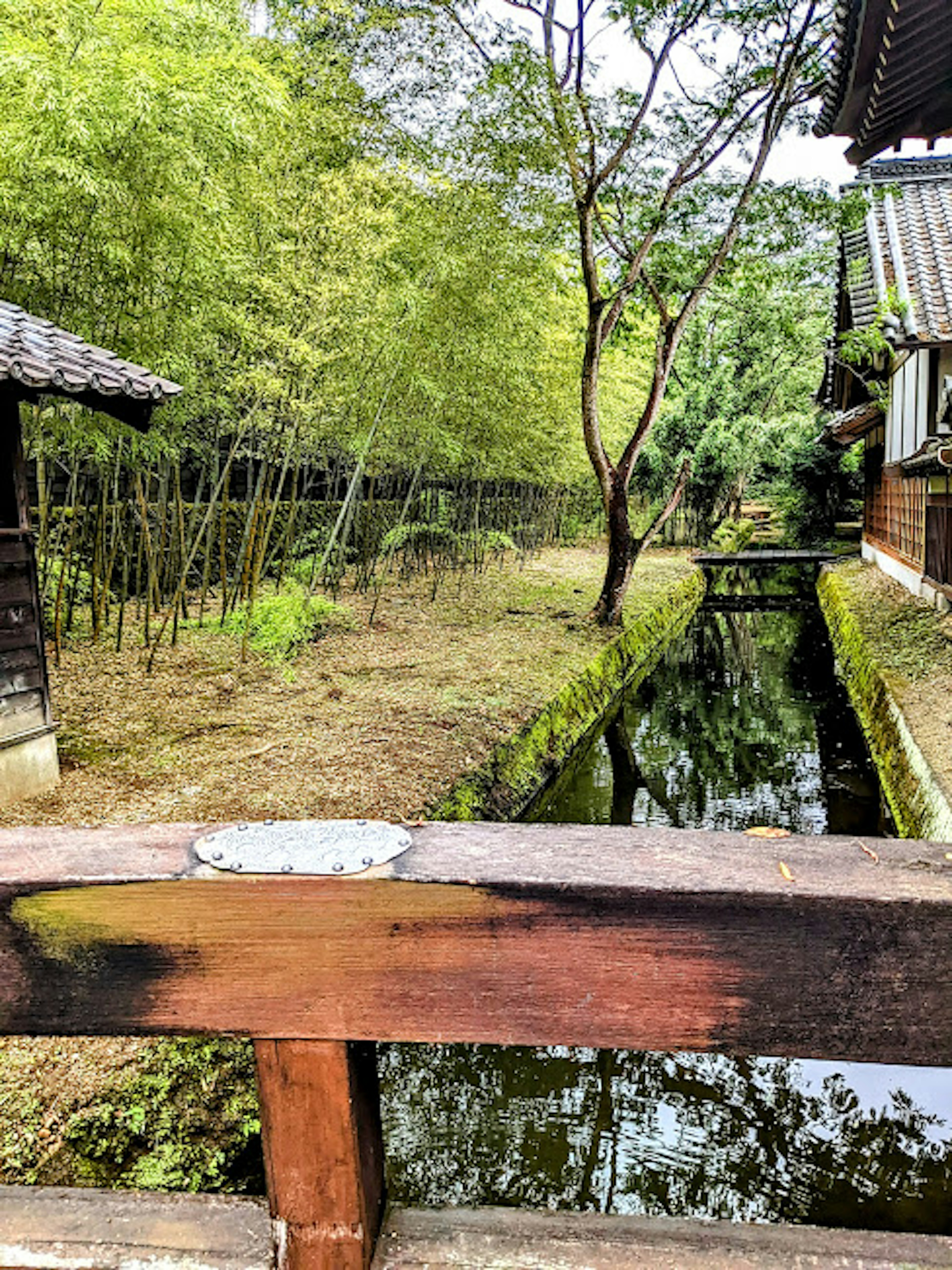 竹林と水路が見える美しい庭園の風景