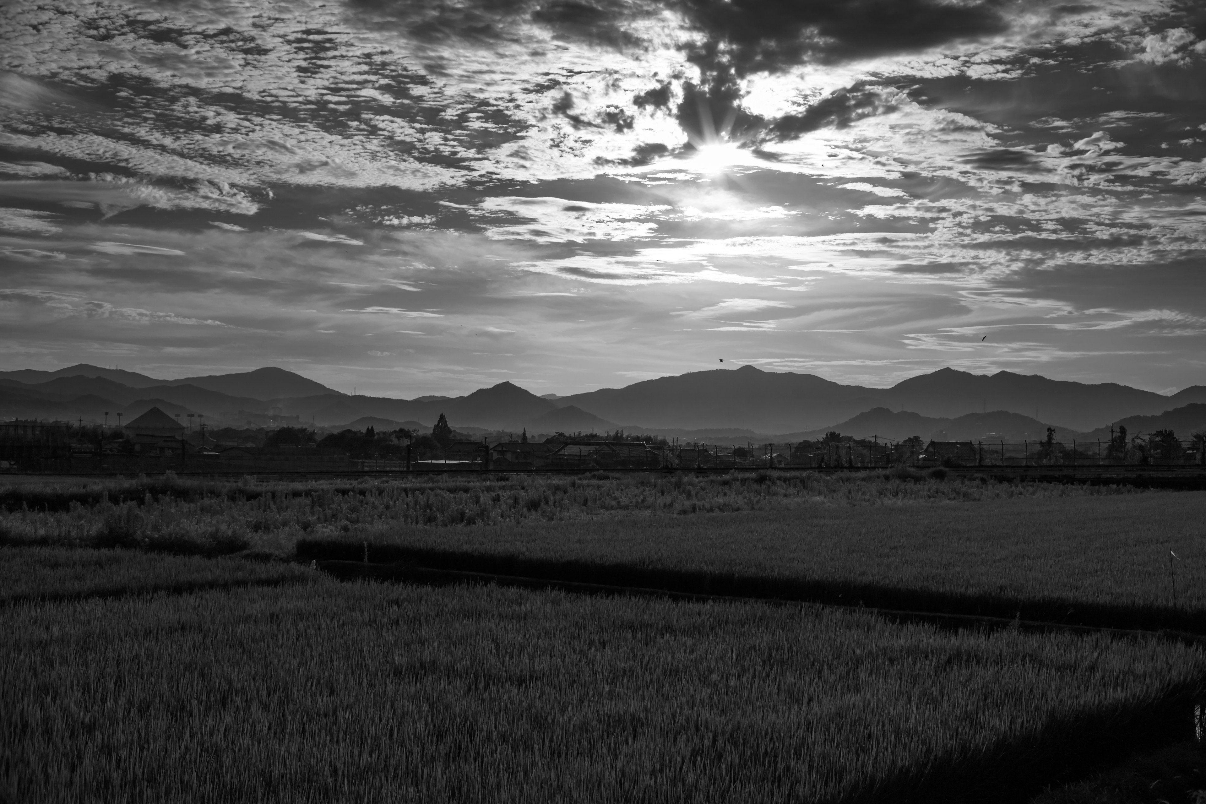 Photo de paysage en noir et blanc avec des montagnes et un ciel nuageux sur des rizières