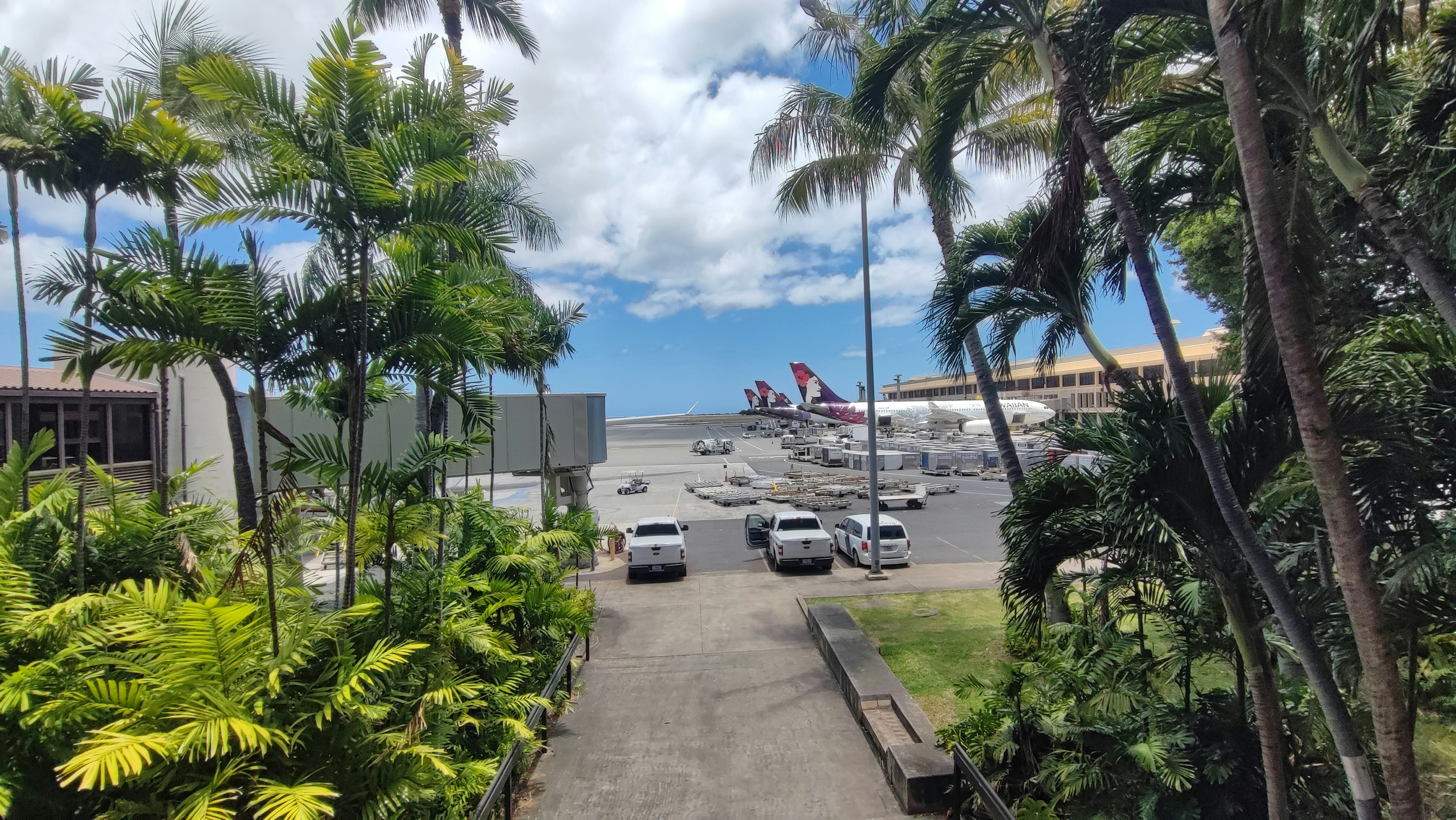 Vista tropical de un aparcamiento de aeropuerto y aviones