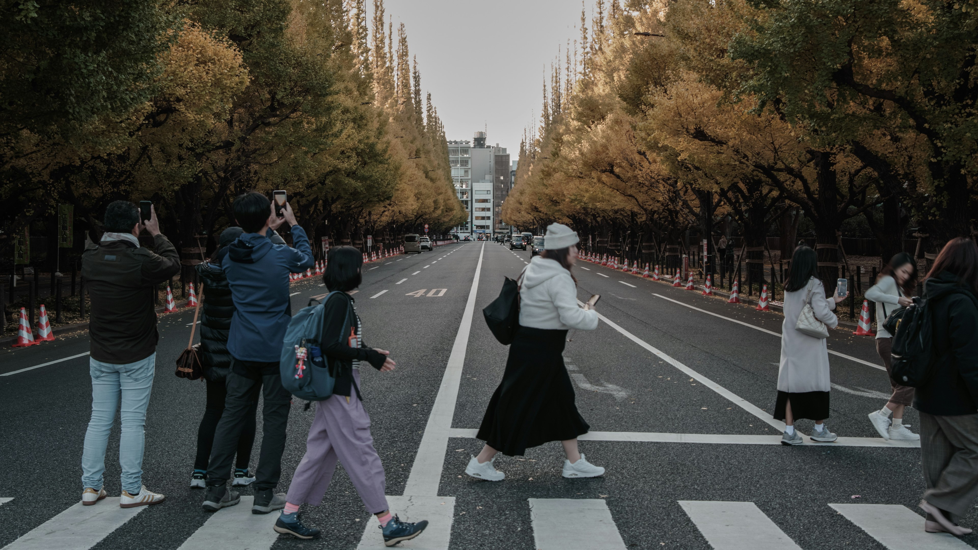 People crossing a street in autumn with yellow trees lining the road