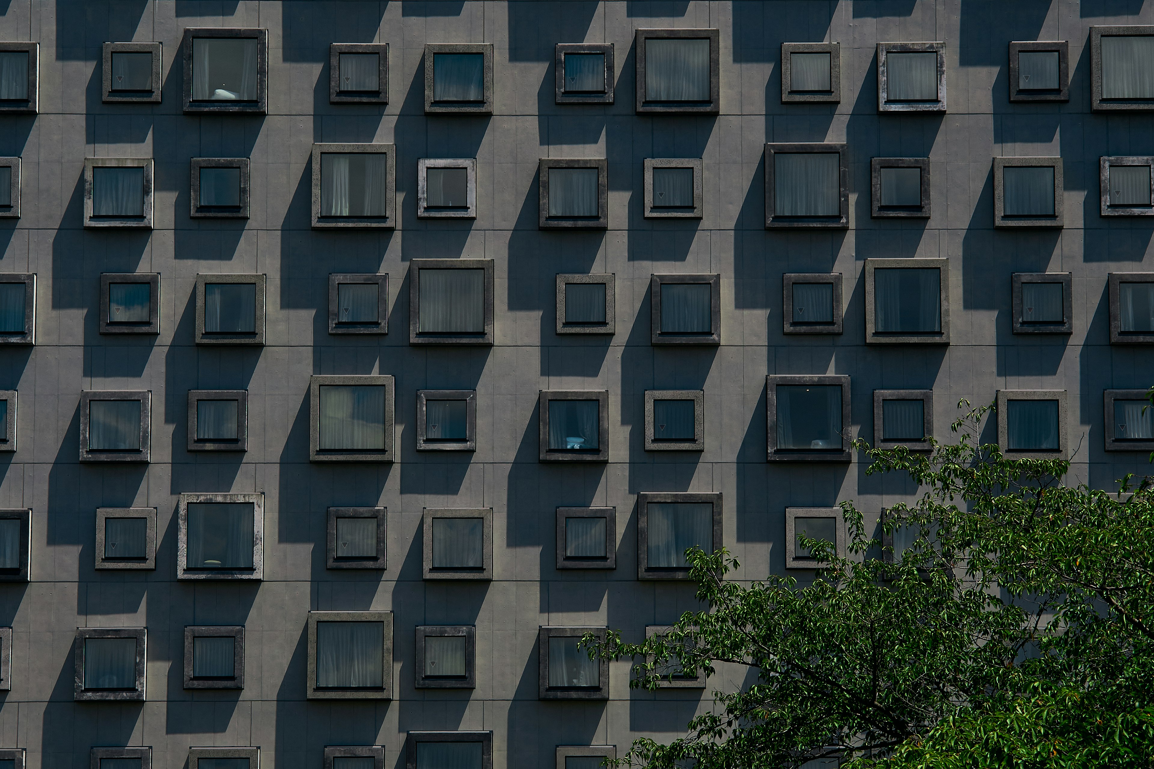 Patrón de numerosas ventanas en la fachada de un edificio moderno Plantas verdes visibles en la parte inferior