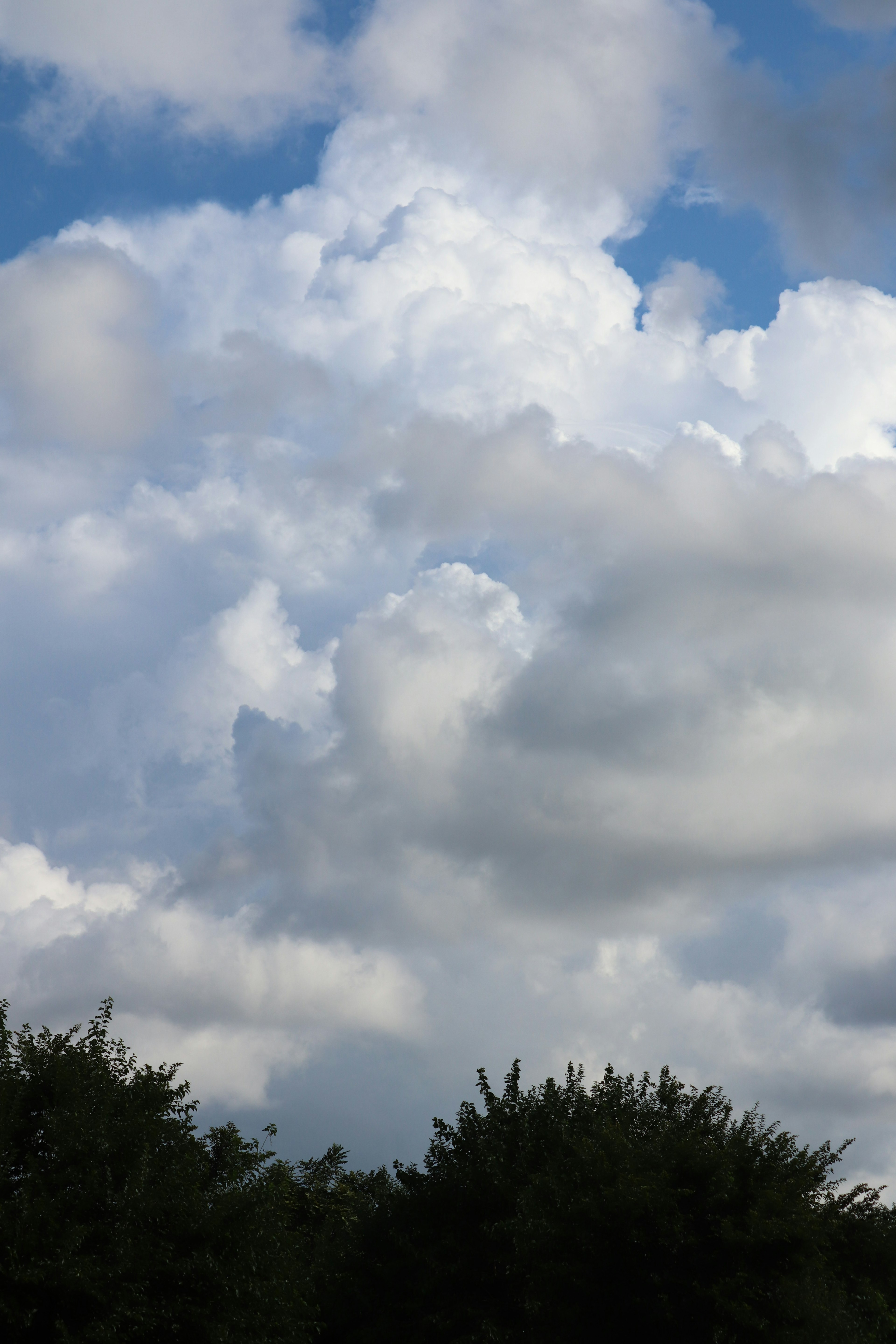 Fluffy white clouds in a blue sky with green trees below