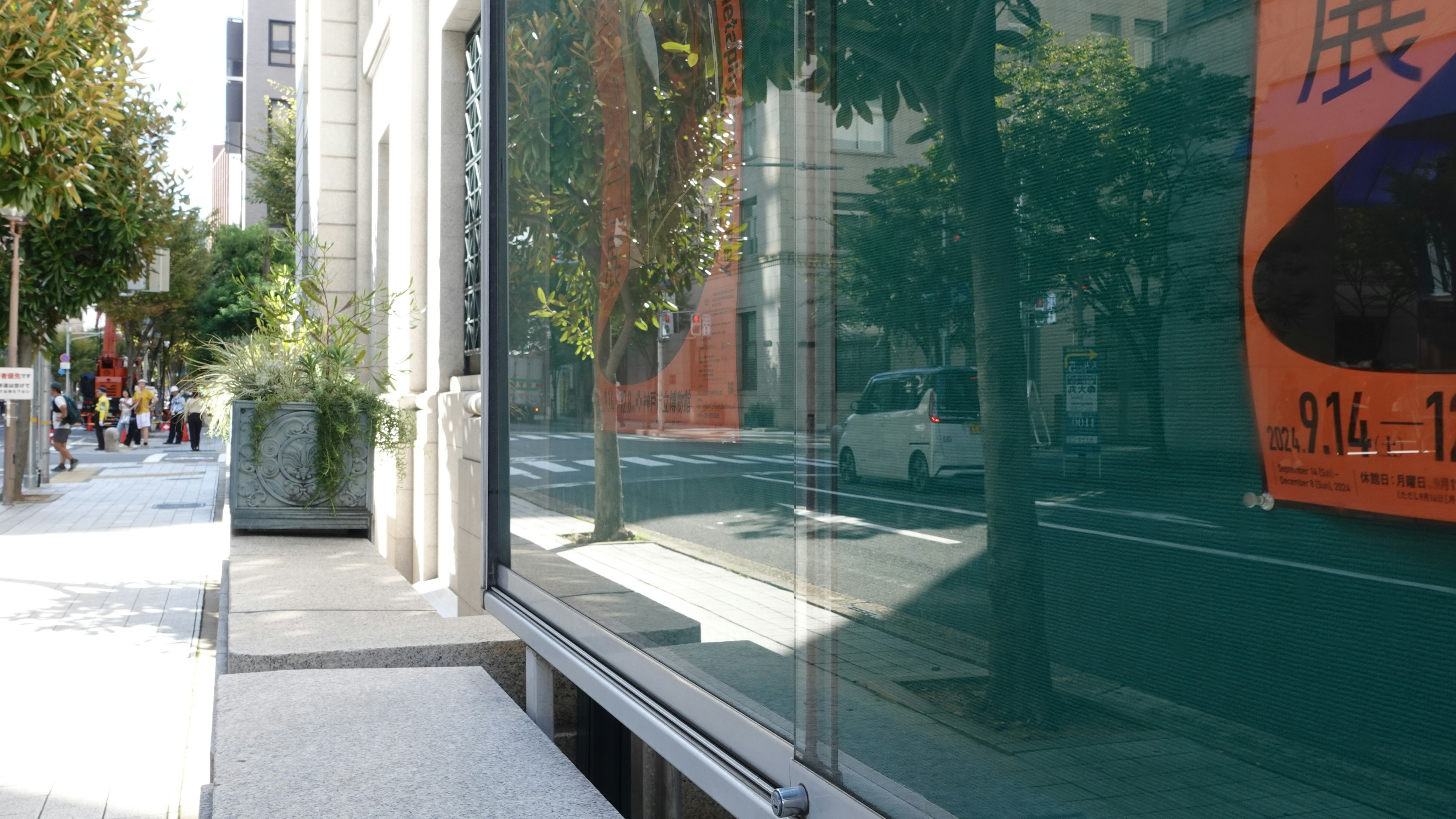 Vista de la calle con reflejo de vidrio que muestra edificios y árboles cercanos