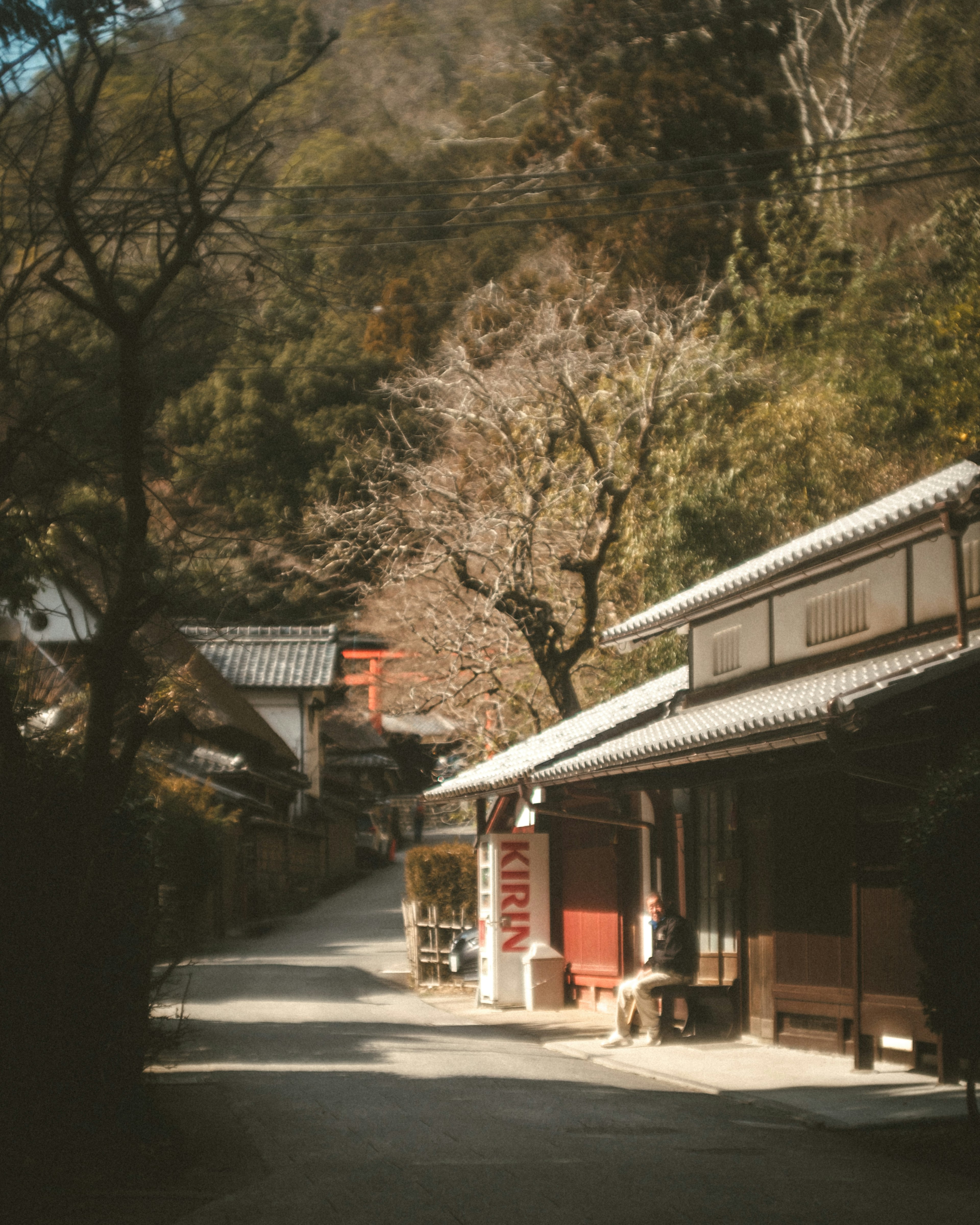 Quiet mountain path lined with traditional houses and cherry blossom trees