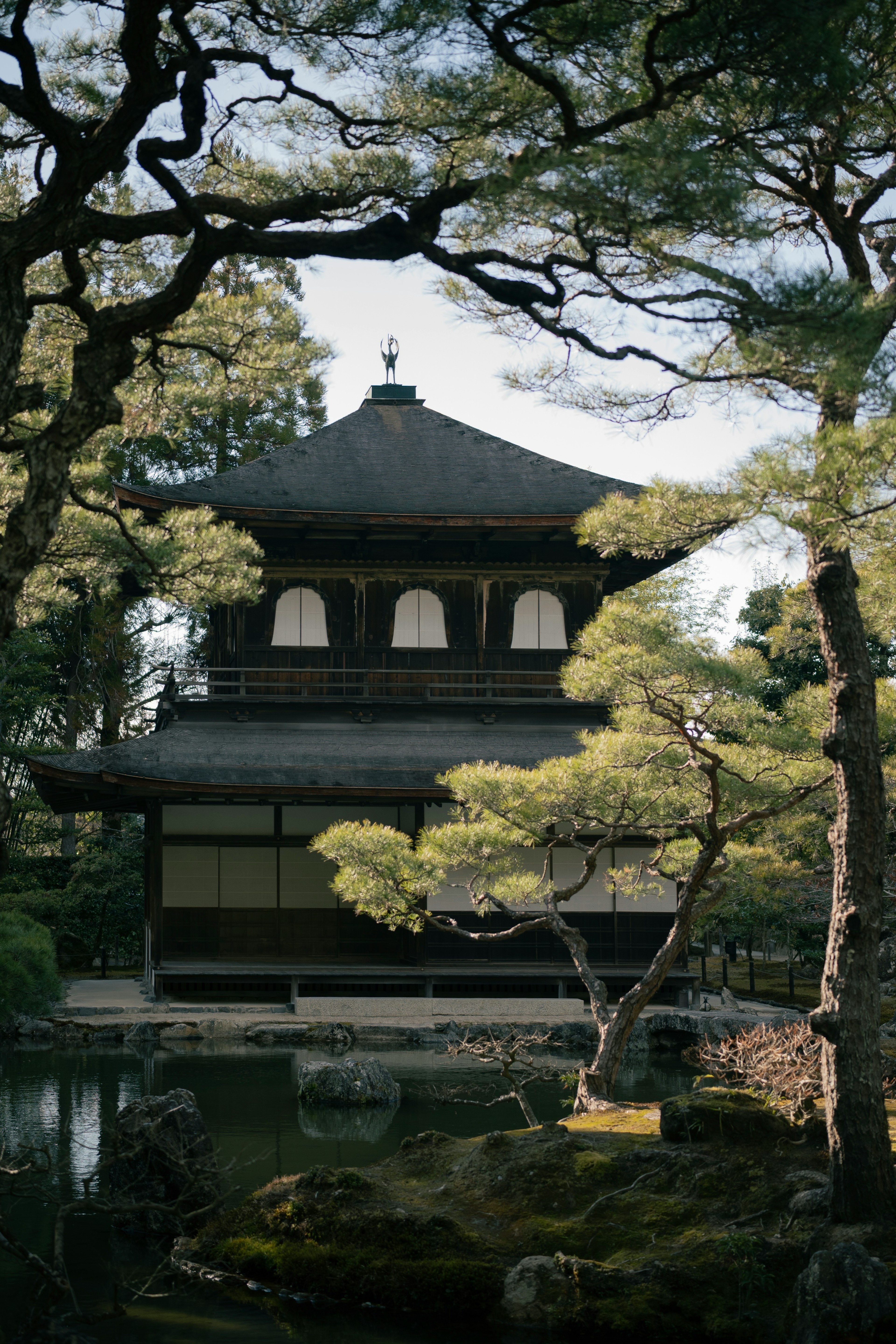 Pemandangan indah Ginkaku-ji dengan pohon pinus dan kolam di sekitarnya