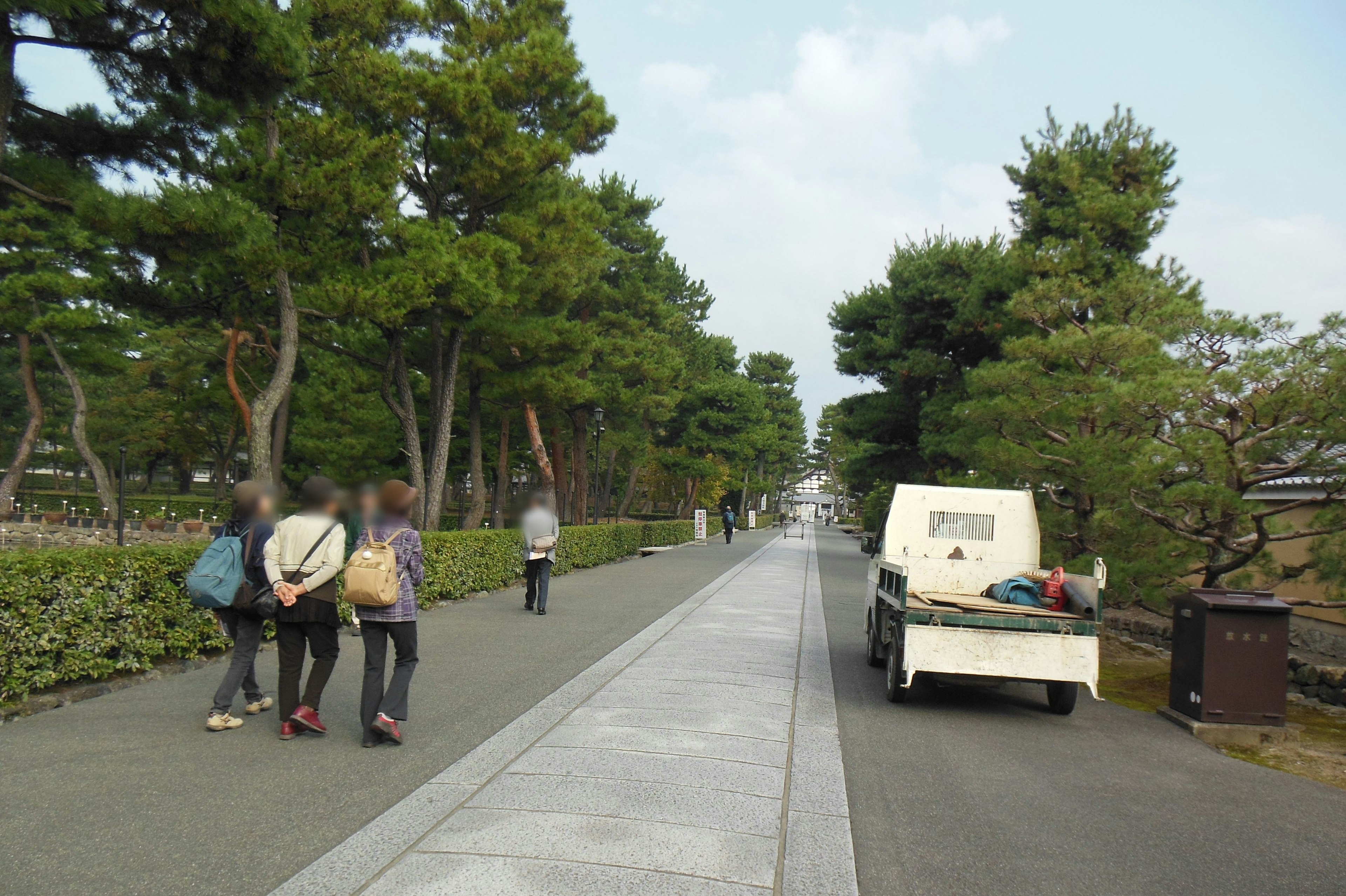 緑の木々に囲まれた散歩道を歩く人々