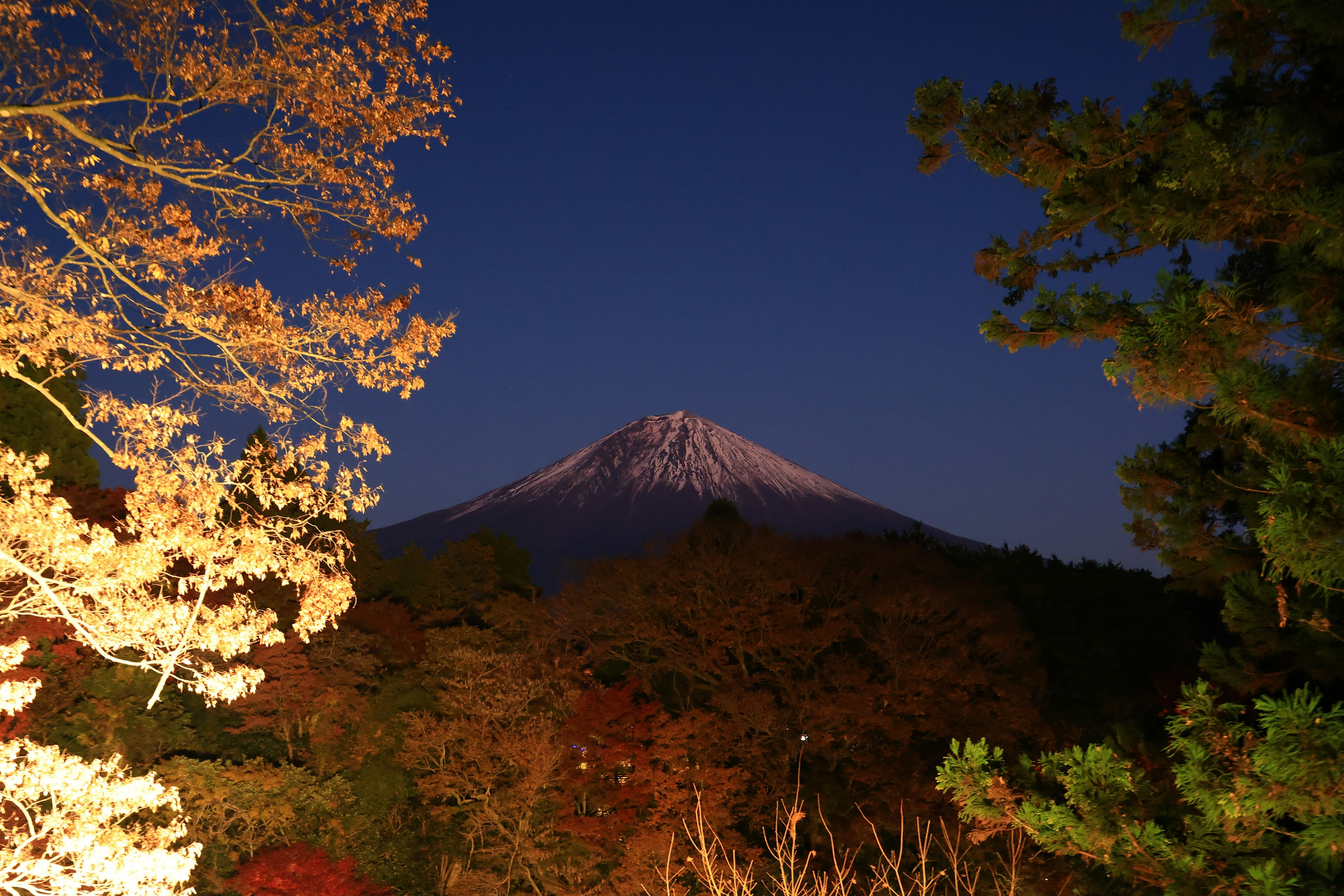 Monte Fuji innevato contro un cielo notturno scuro con foglie autunnali