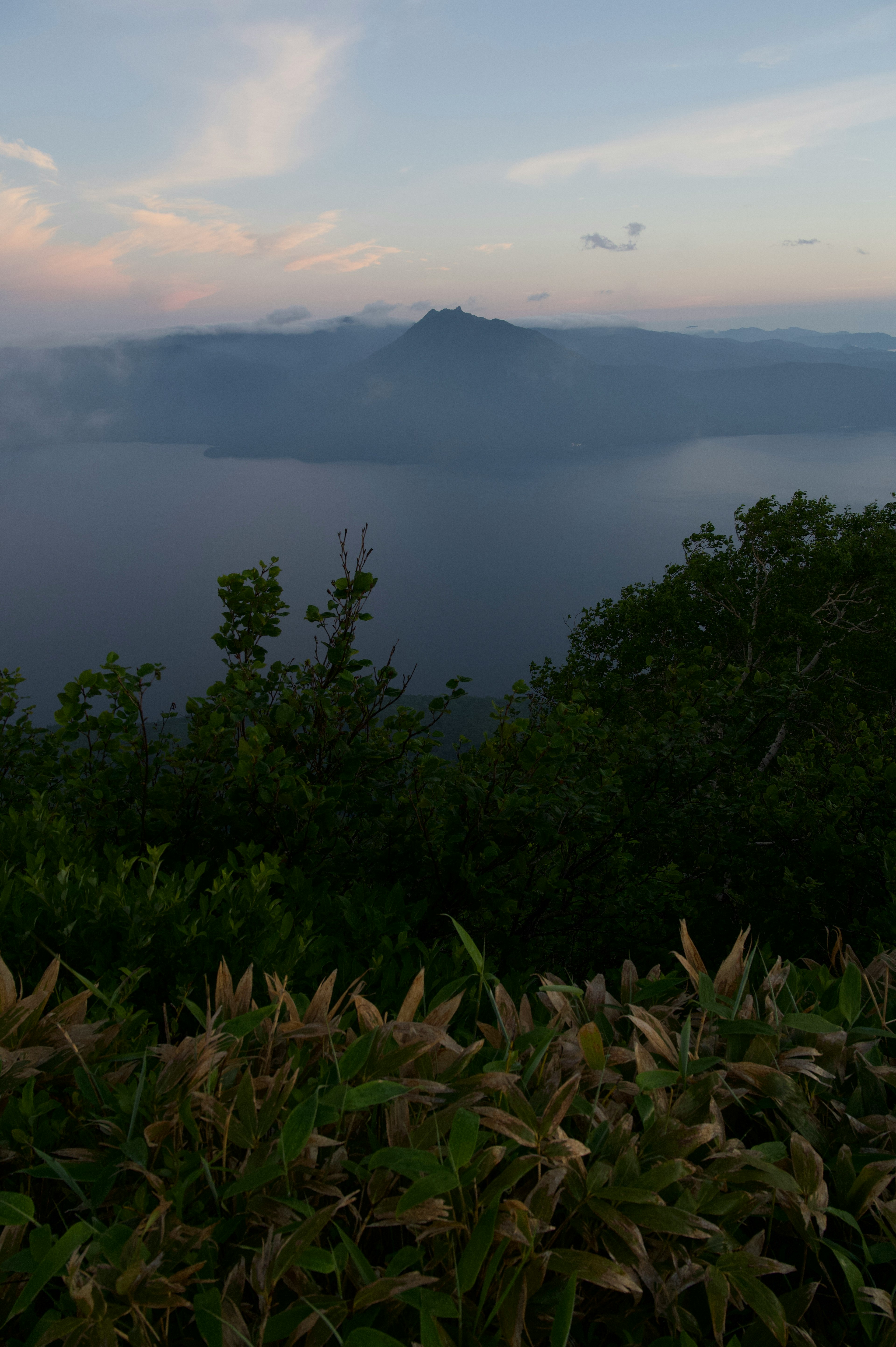 湖と山の風景、夕暮れ時の柔らかい光、緑の植物が前景にある