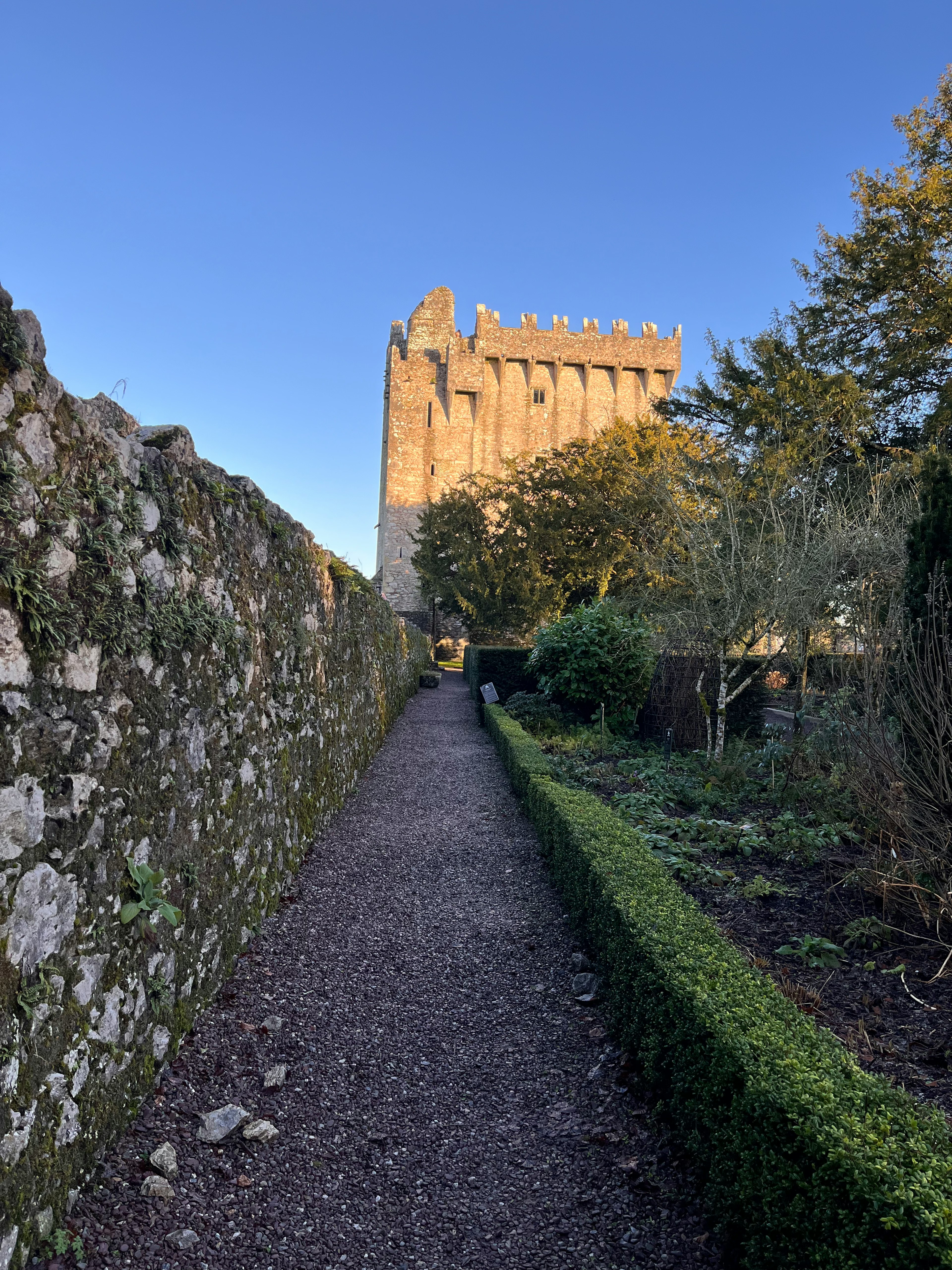 Stone pathway leading to a castle tower with greenery on either side