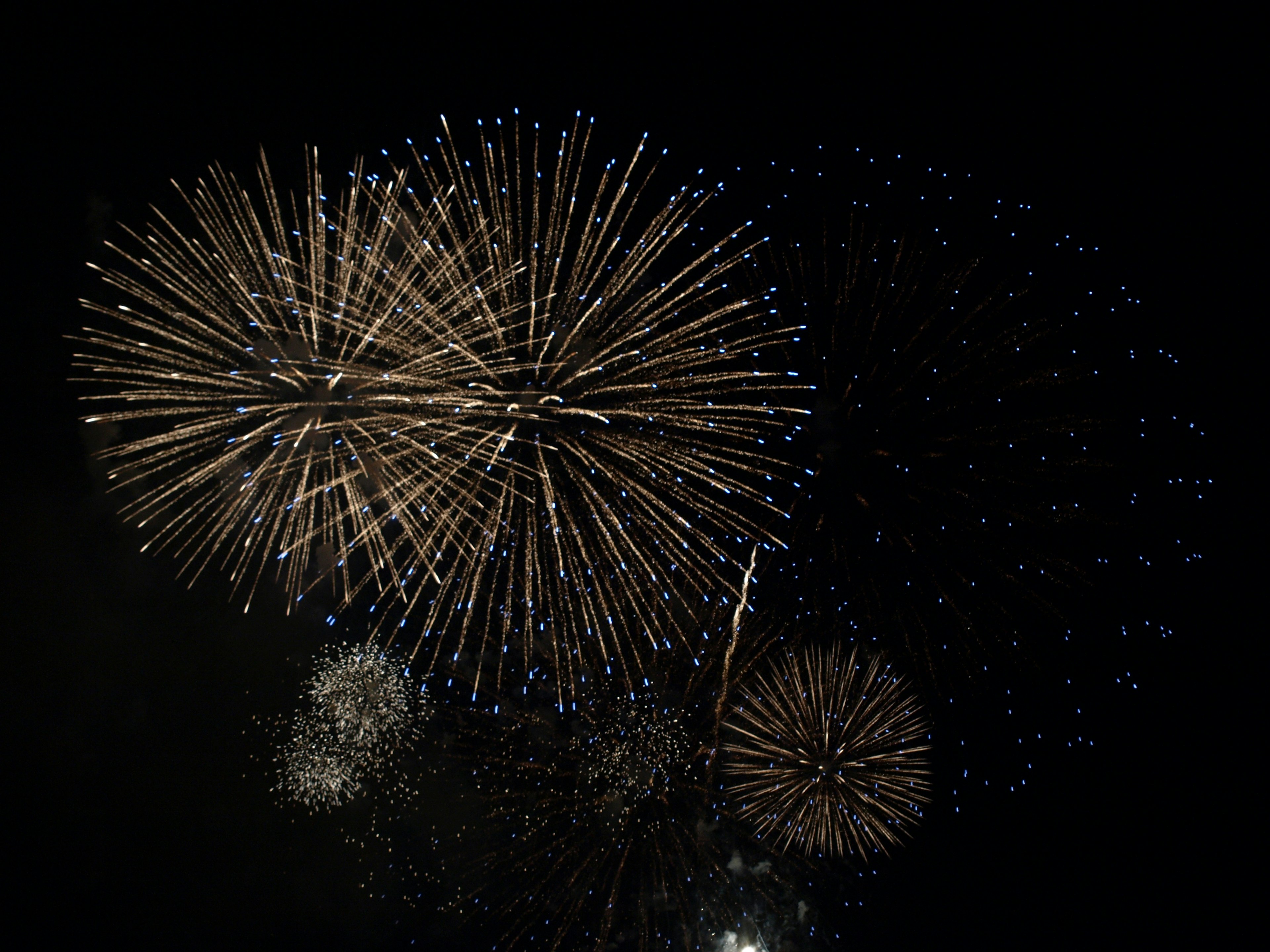 Beautiful display of fireworks bursting in the dark sky