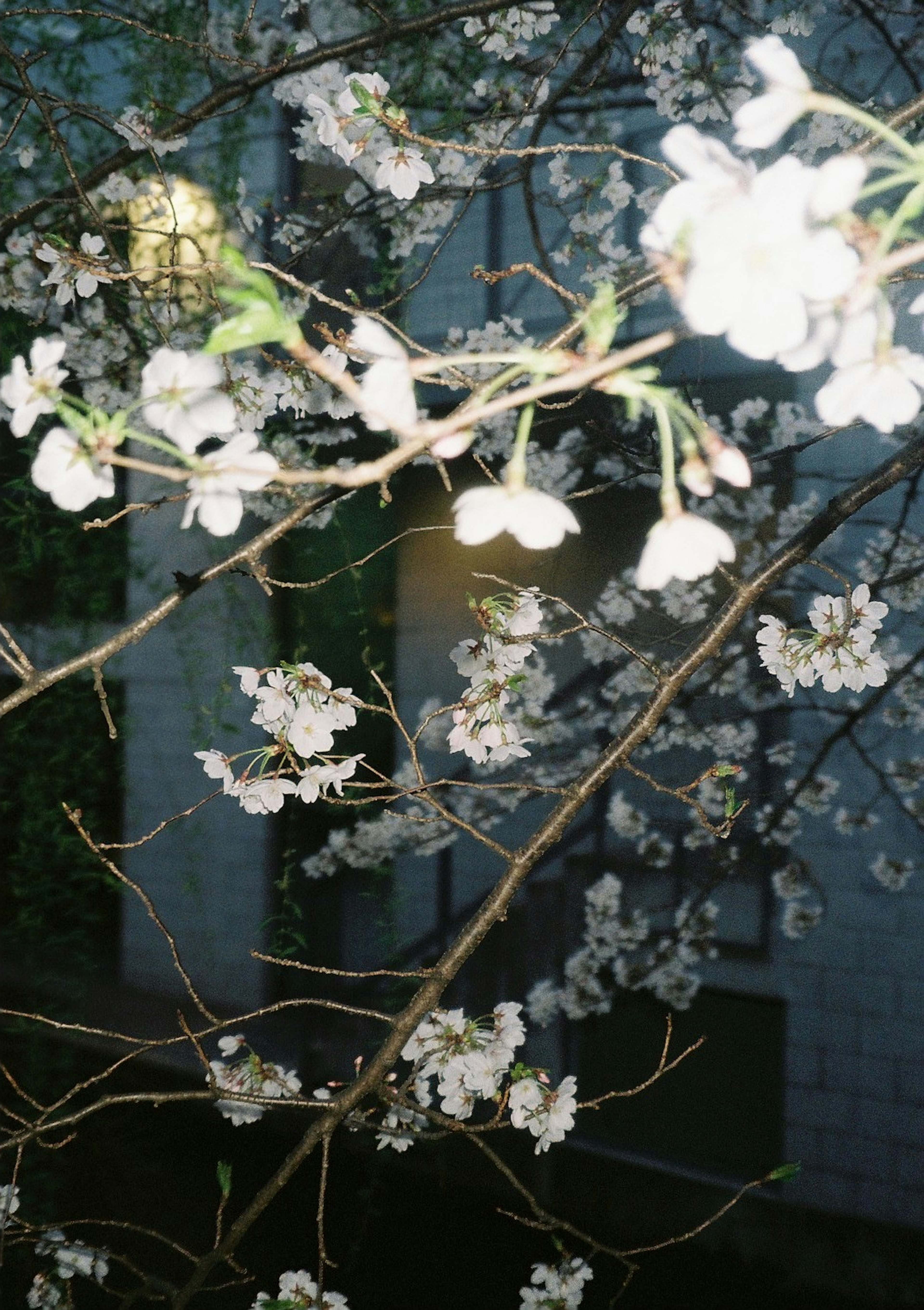 photo-LZj7bbTgXjkLkWkbN58T-image