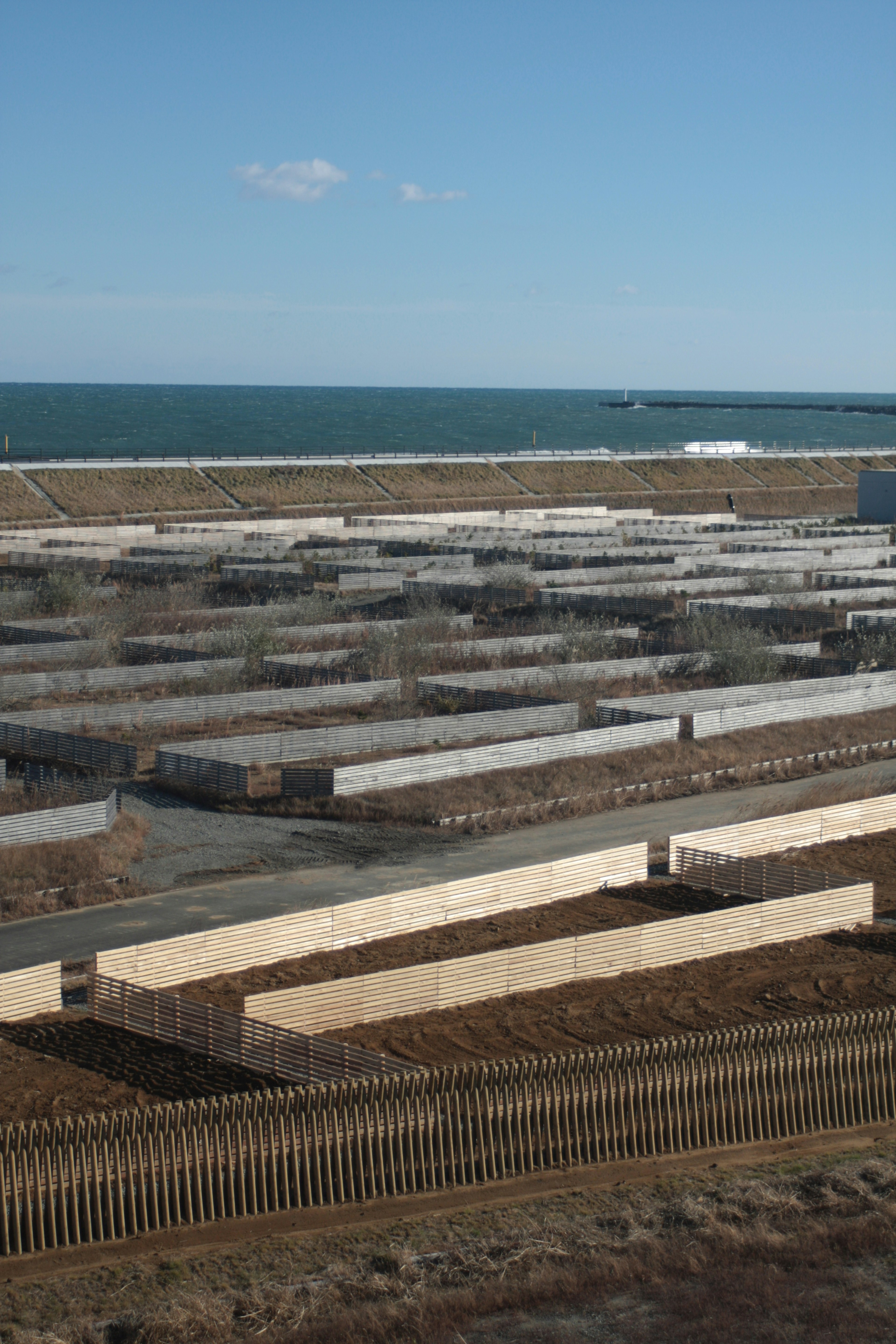 A coastal area with rectangular foundations under construction