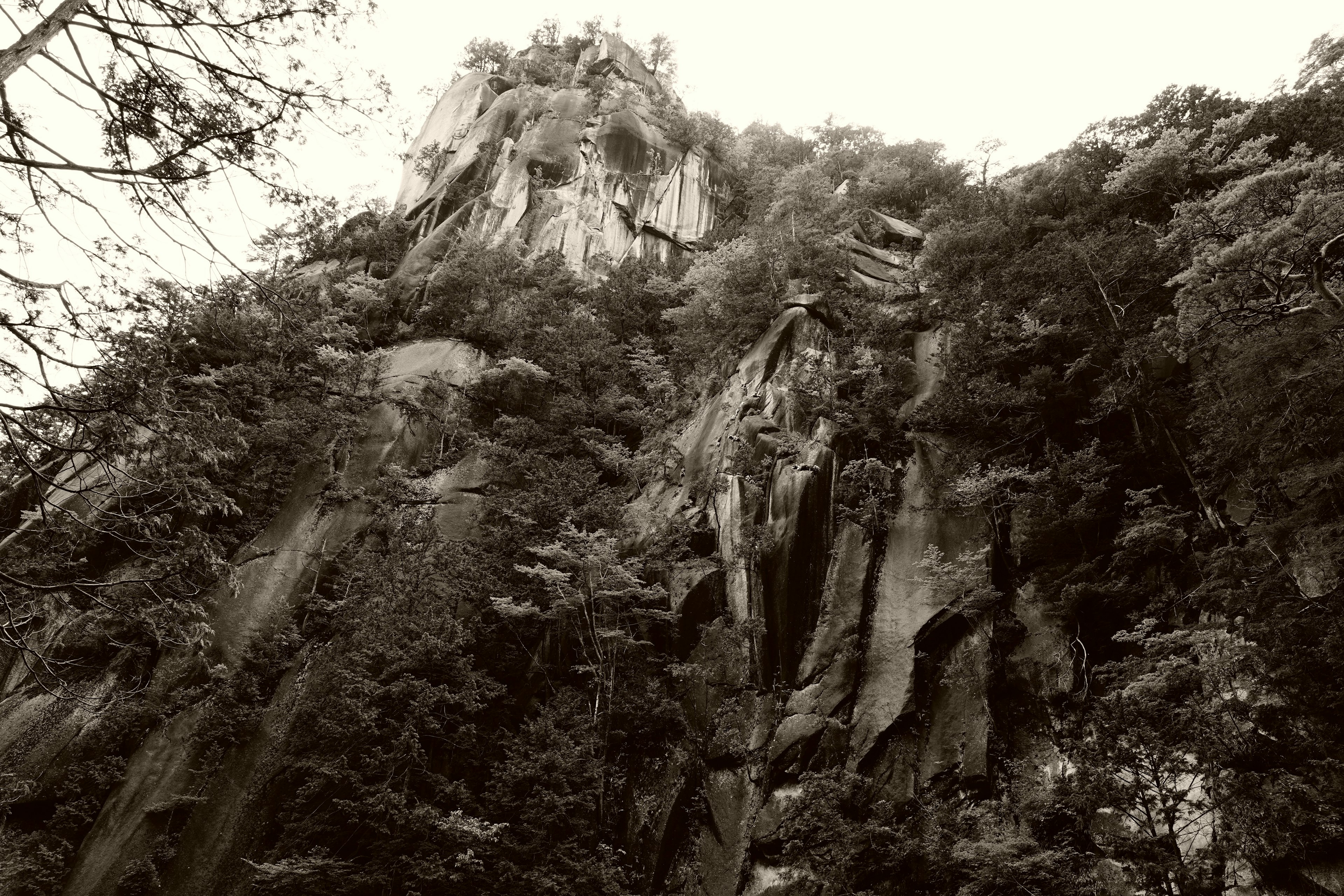 Paisaje montañoso en blanco y negro con árboles verdes exuberantes y paredes rocosas empinadas