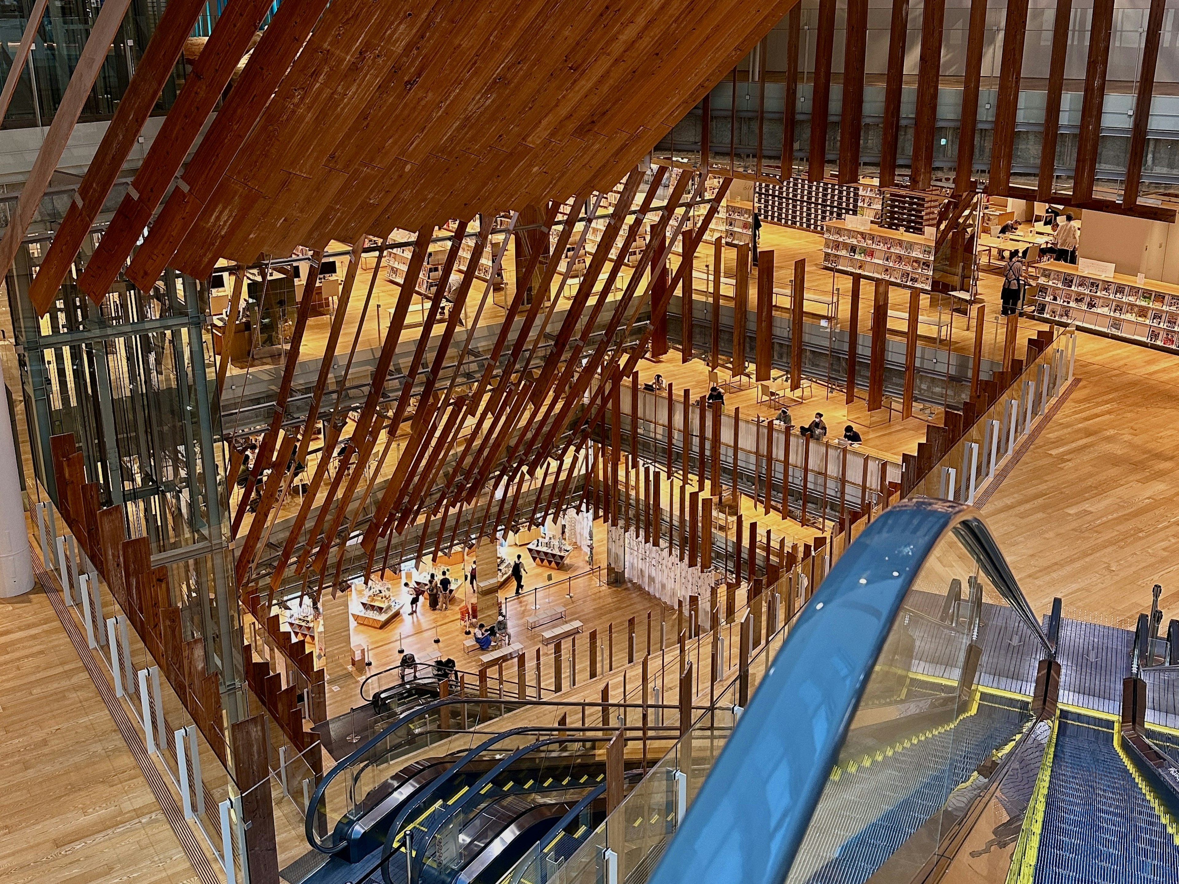 Vista interna di una biblioteca moderna con travi di legno e illuminazione brillante caratterizzata da un design a spazio aperto