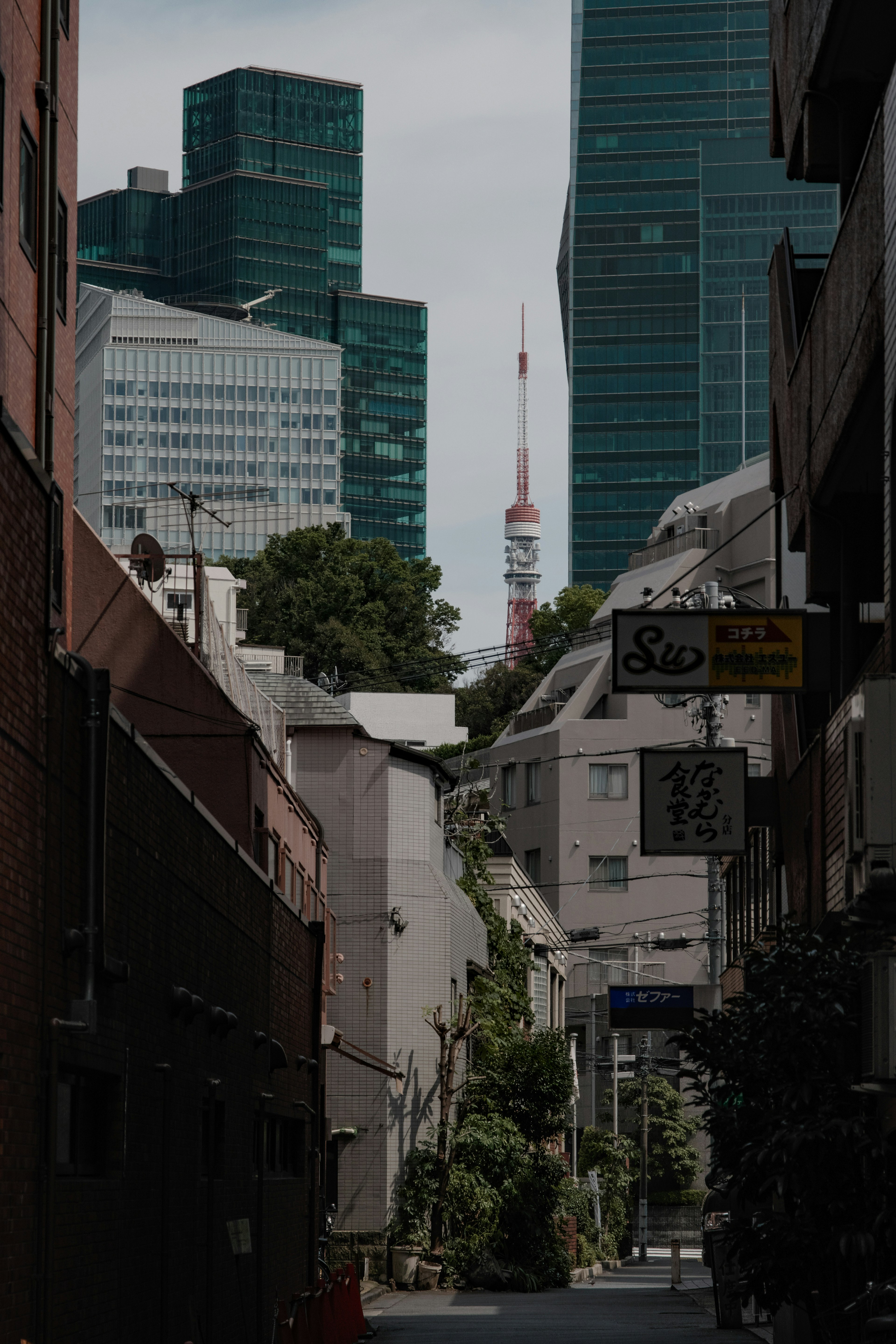 東京タワーが見える狭い通りと高層ビル群の景色