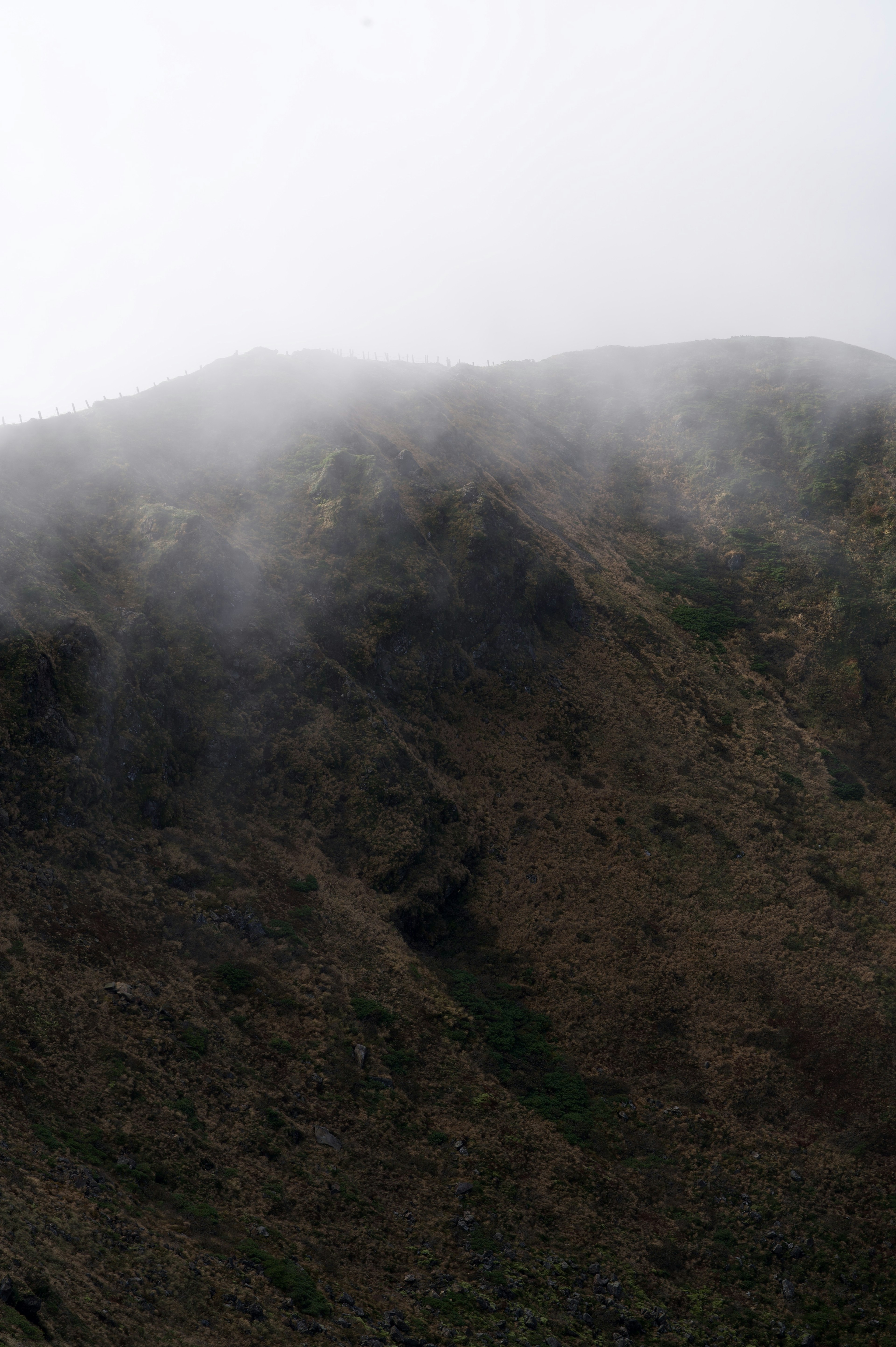 Ladera de montaña envuelta en niebla con terreno accidentado