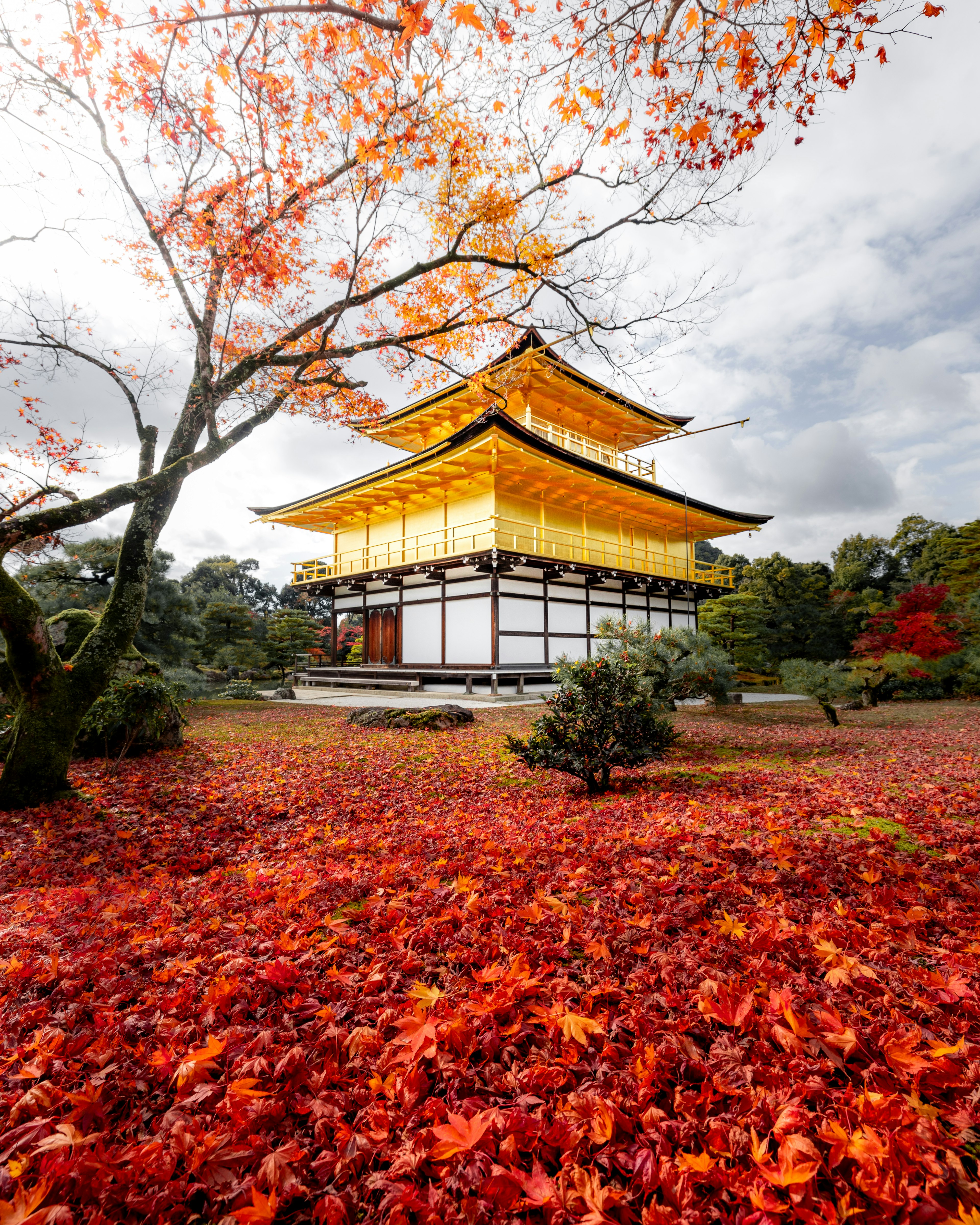 Pavillon d'or entouré de feuilles d'automne vibrantes