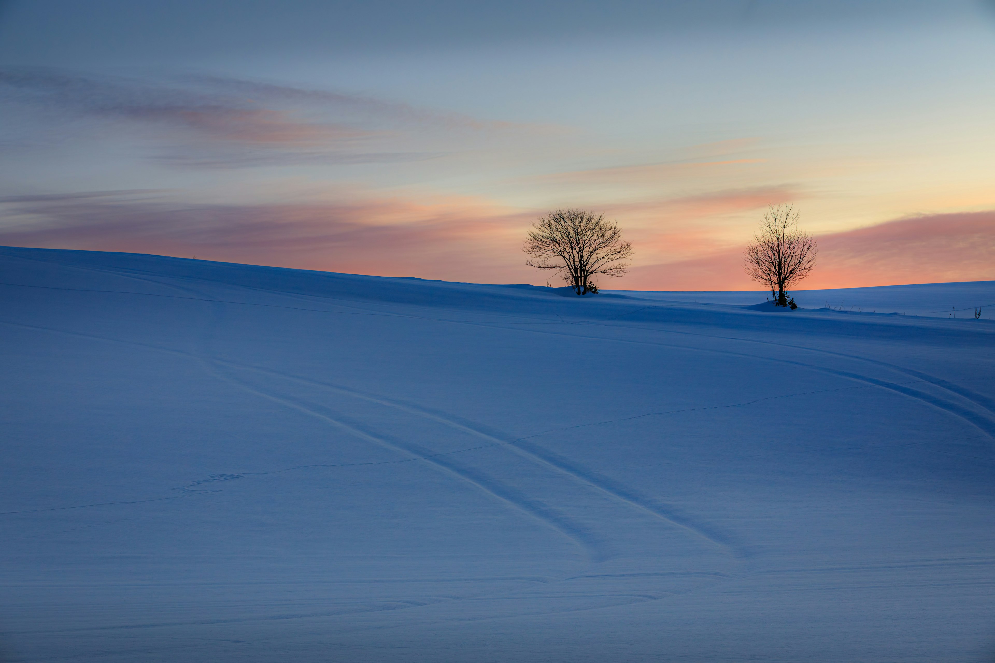 雪に覆われた丘の上に立つ二つの木と美しい夕焼け