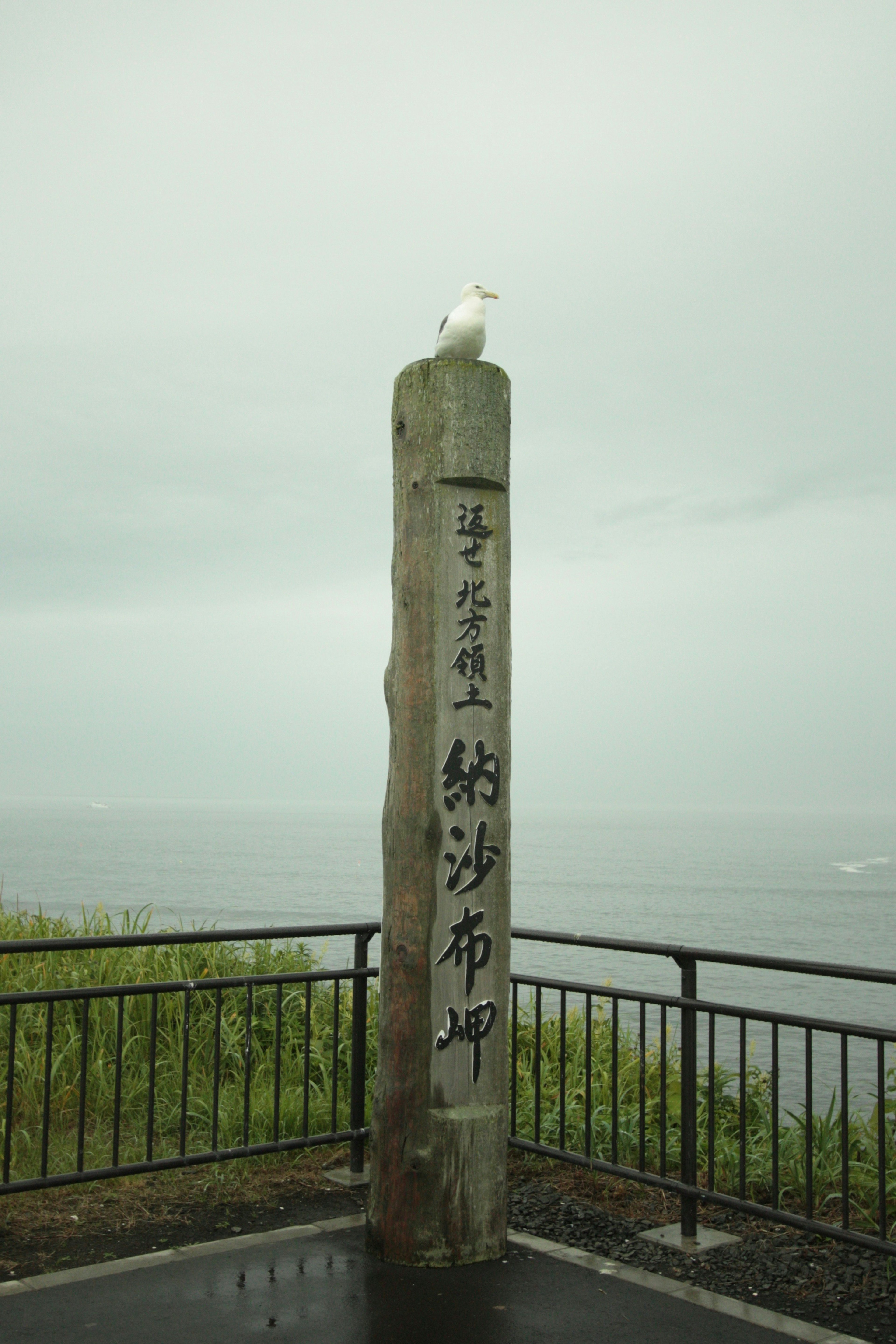 一只白色海鸥栖息在俯瞰海洋的石碑上