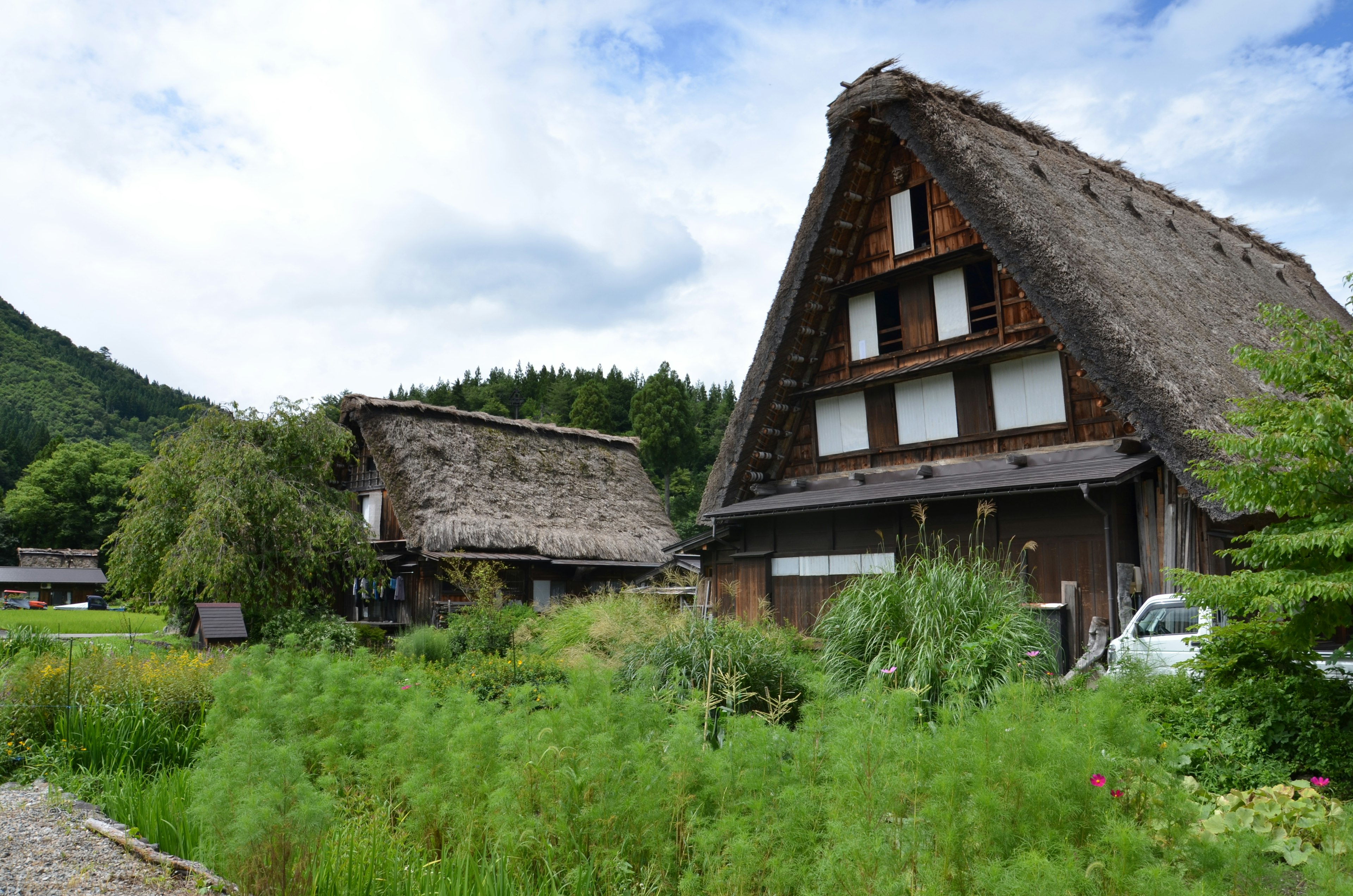 伝統的な茅葺き屋根の家と緑豊かな庭がある風景