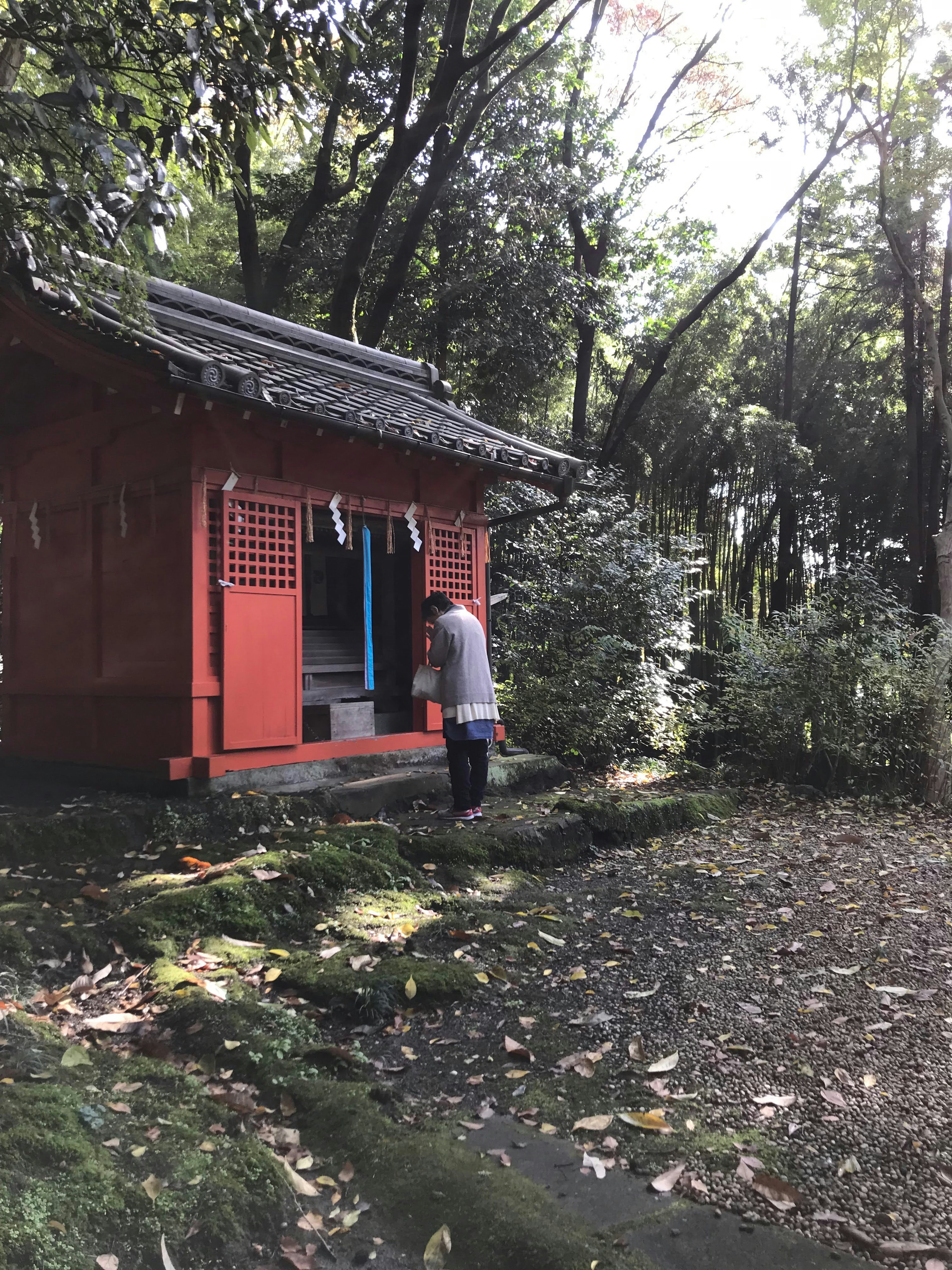 一个人站在红色建筑前，周围是绿色植物