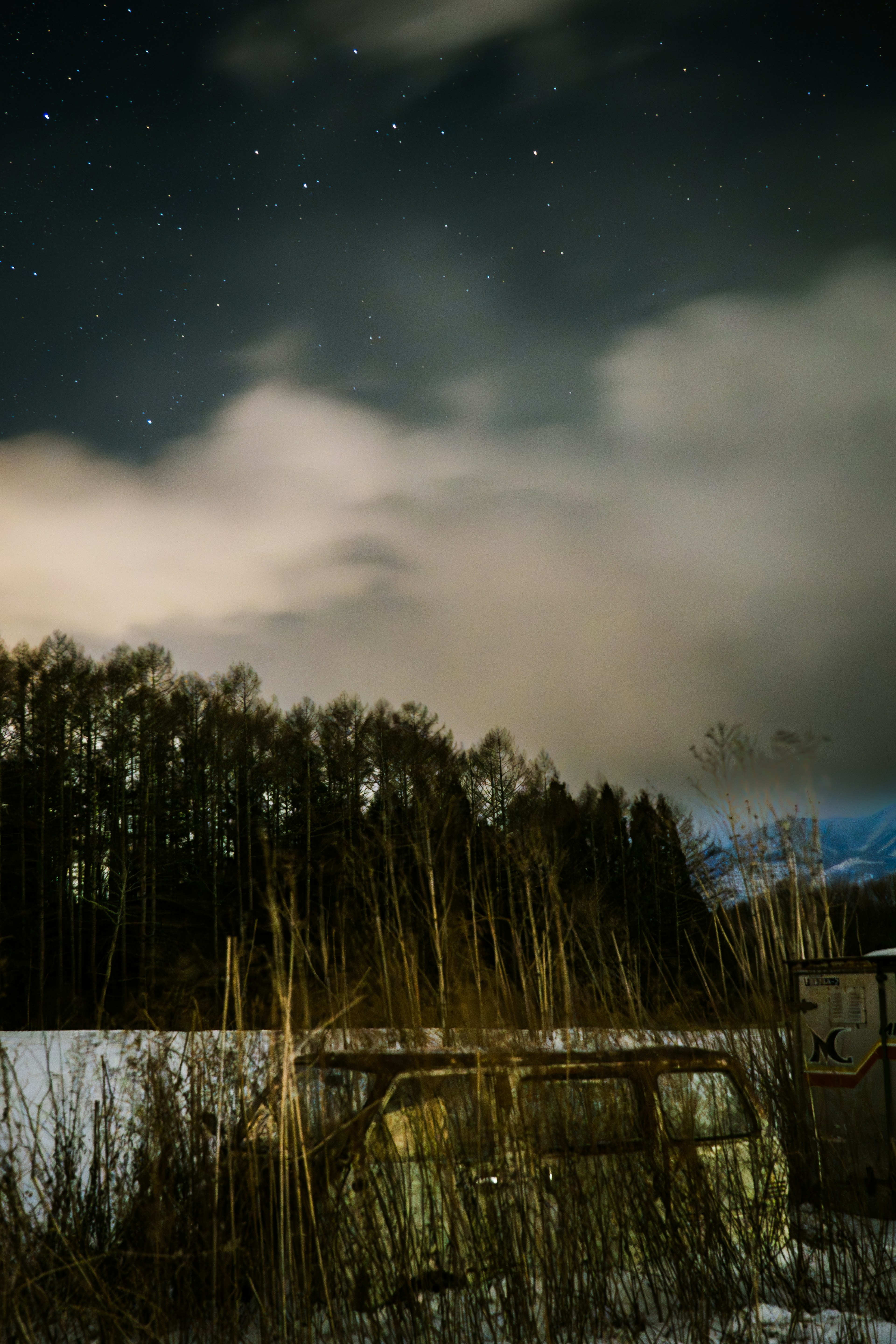 Ciel nocturne avec des étoiles brillantes et silhouettes d'arbres