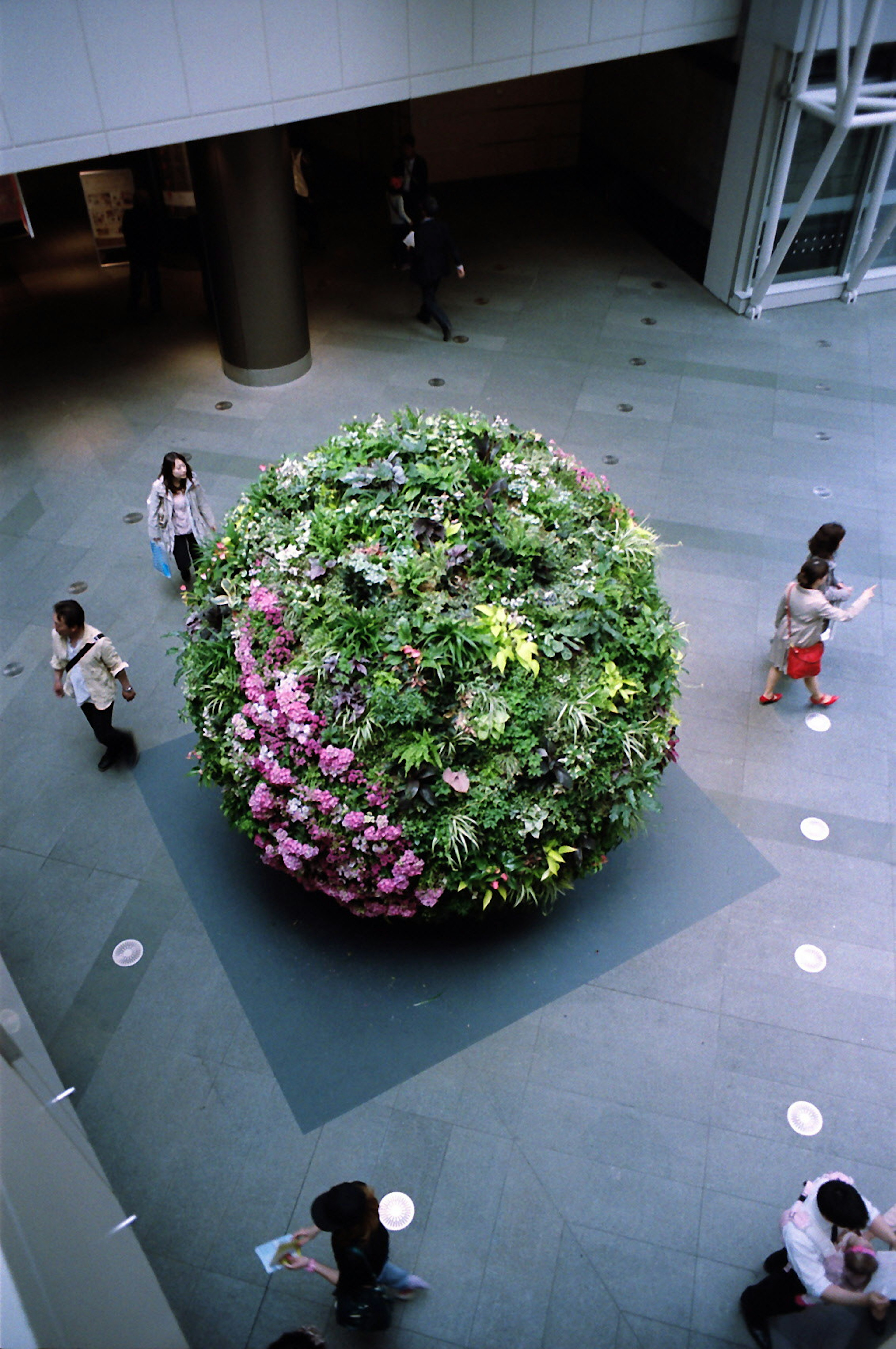 Eine sphärische Anordnung von Grün und Blumen umgeben von Menschen