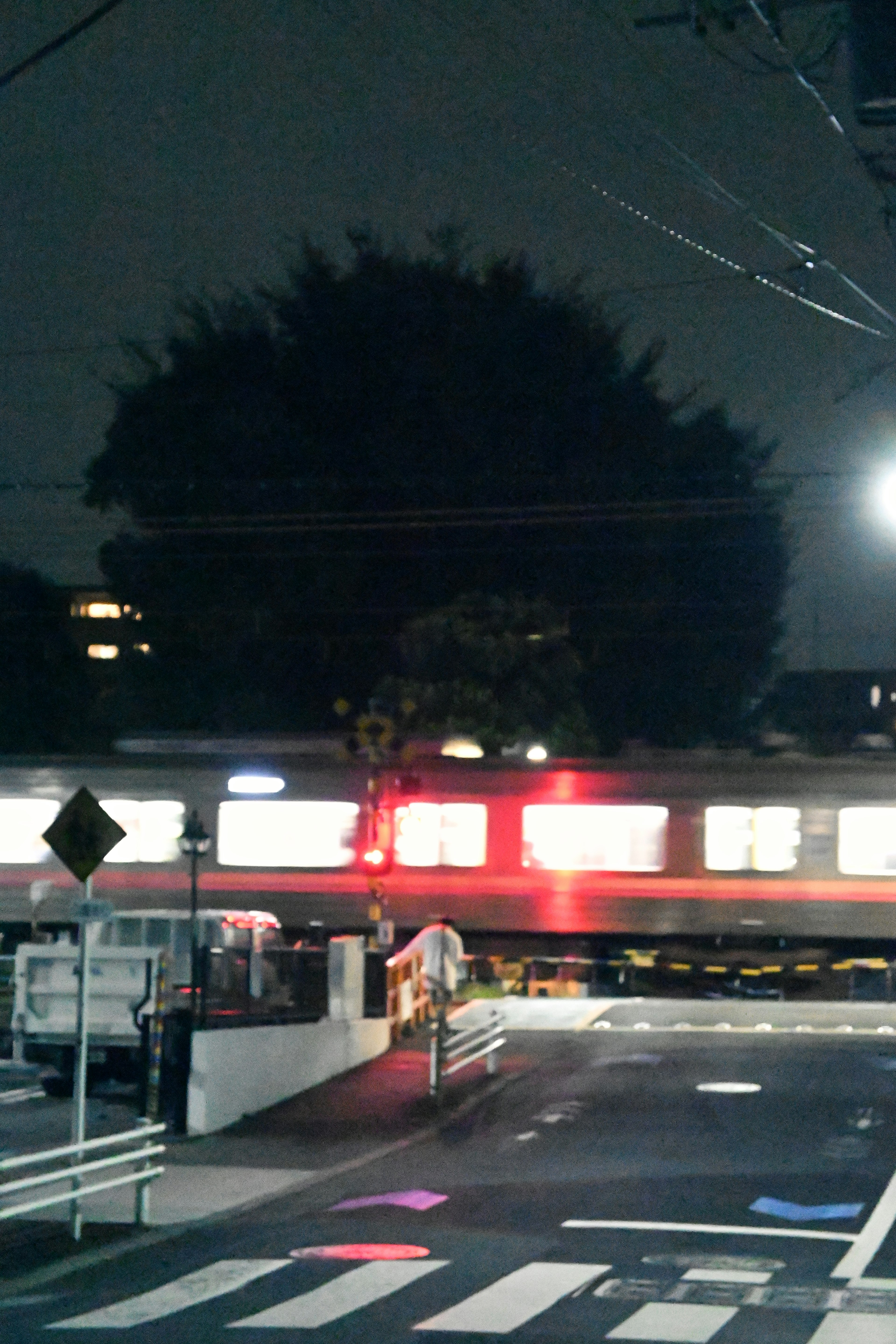 Red train approaching at night near a large tree