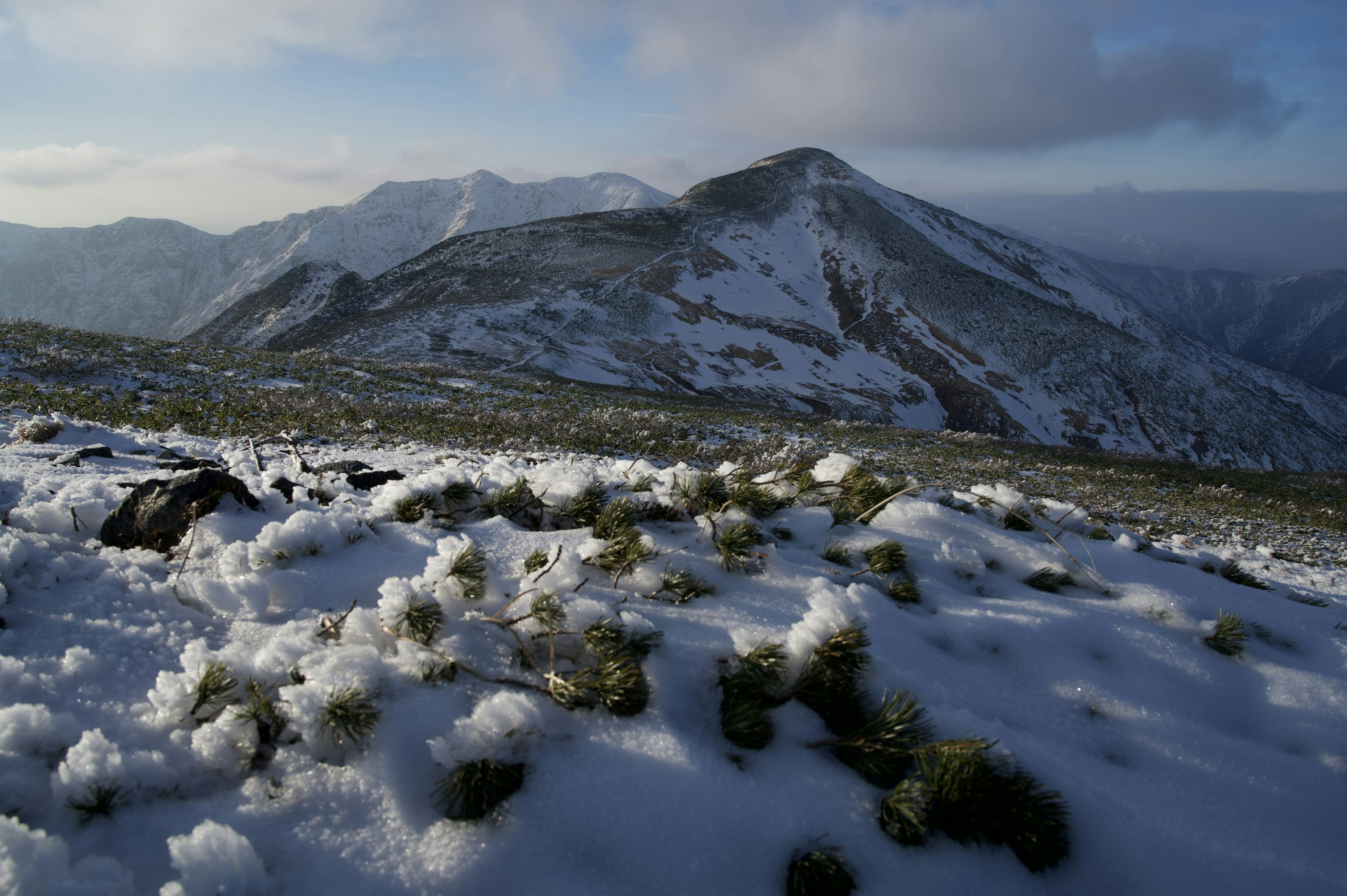 雪に覆われた山の風景と草