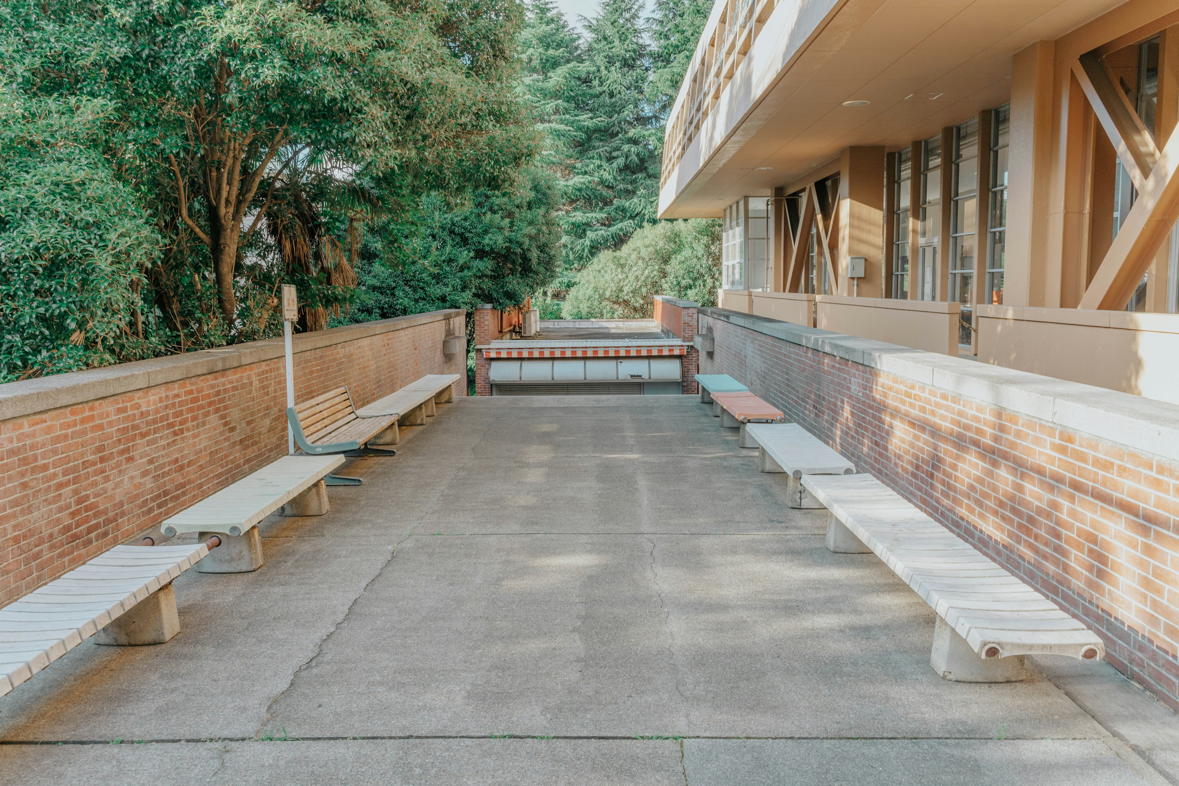 Vue spacieuse de bancs et d'un chemin en béton à côté d'un bâtiment