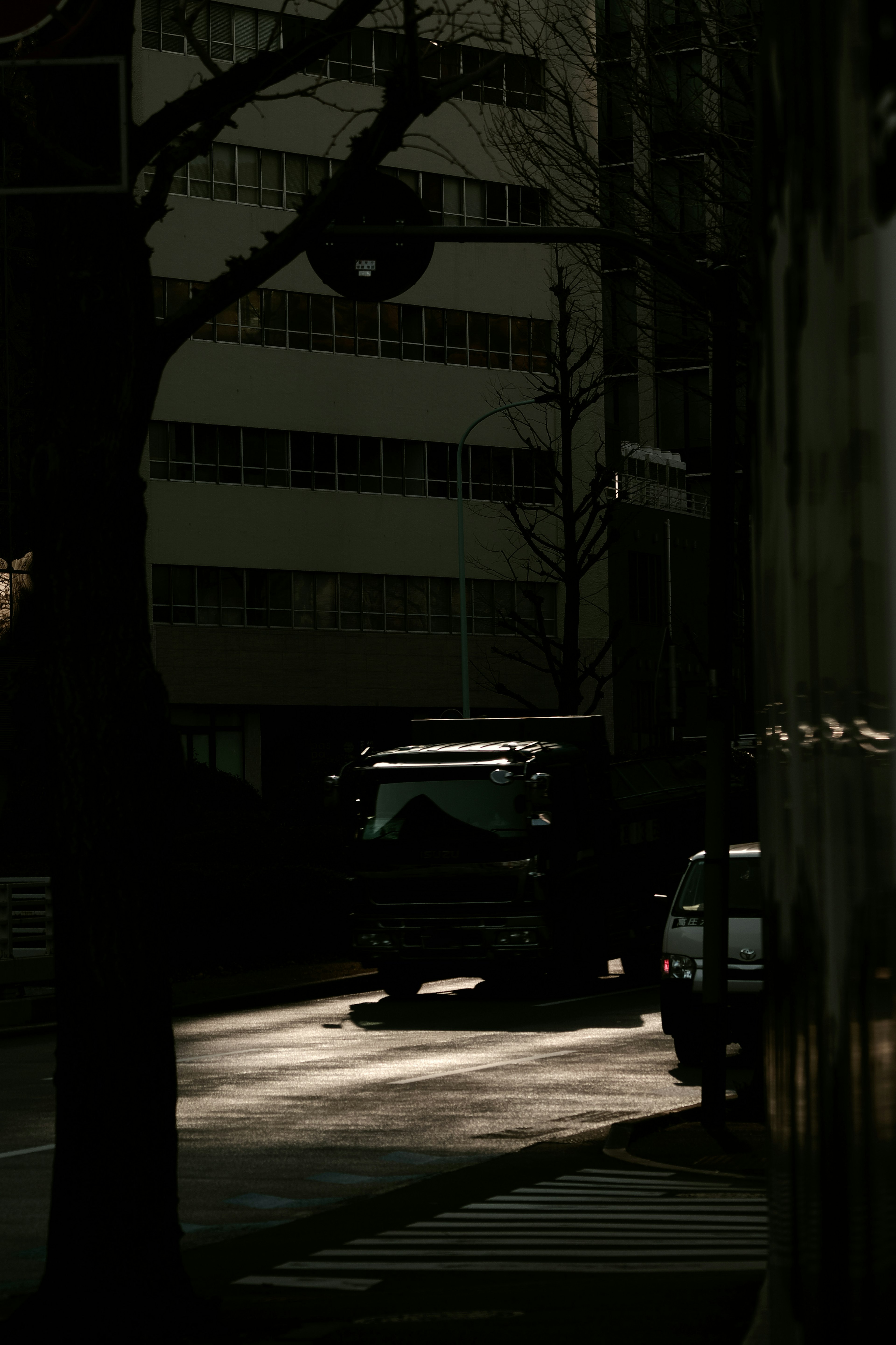 A dark street with parked vehicles and tree shadows