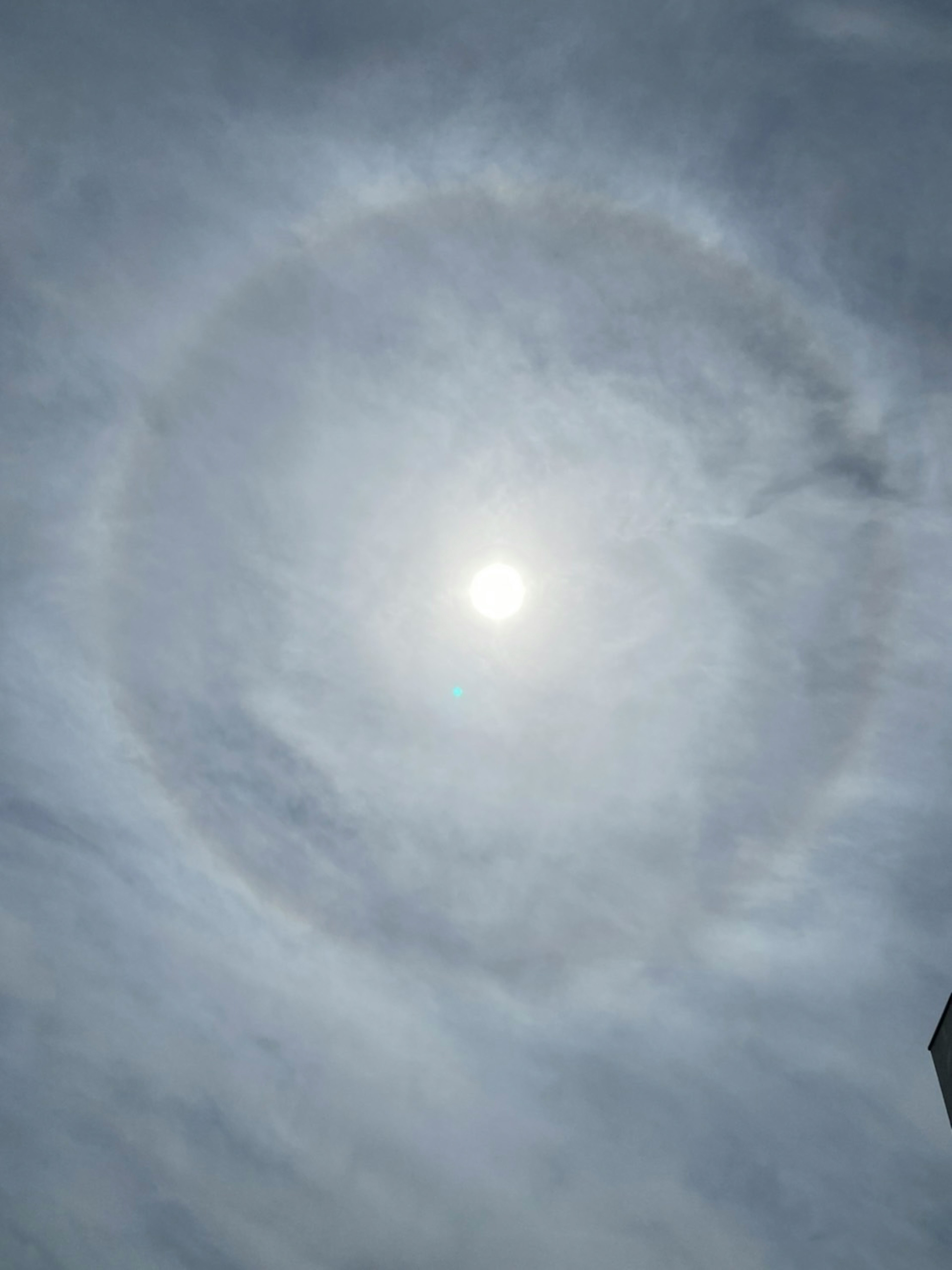 太陽の周りにできた光の輪雲の写真