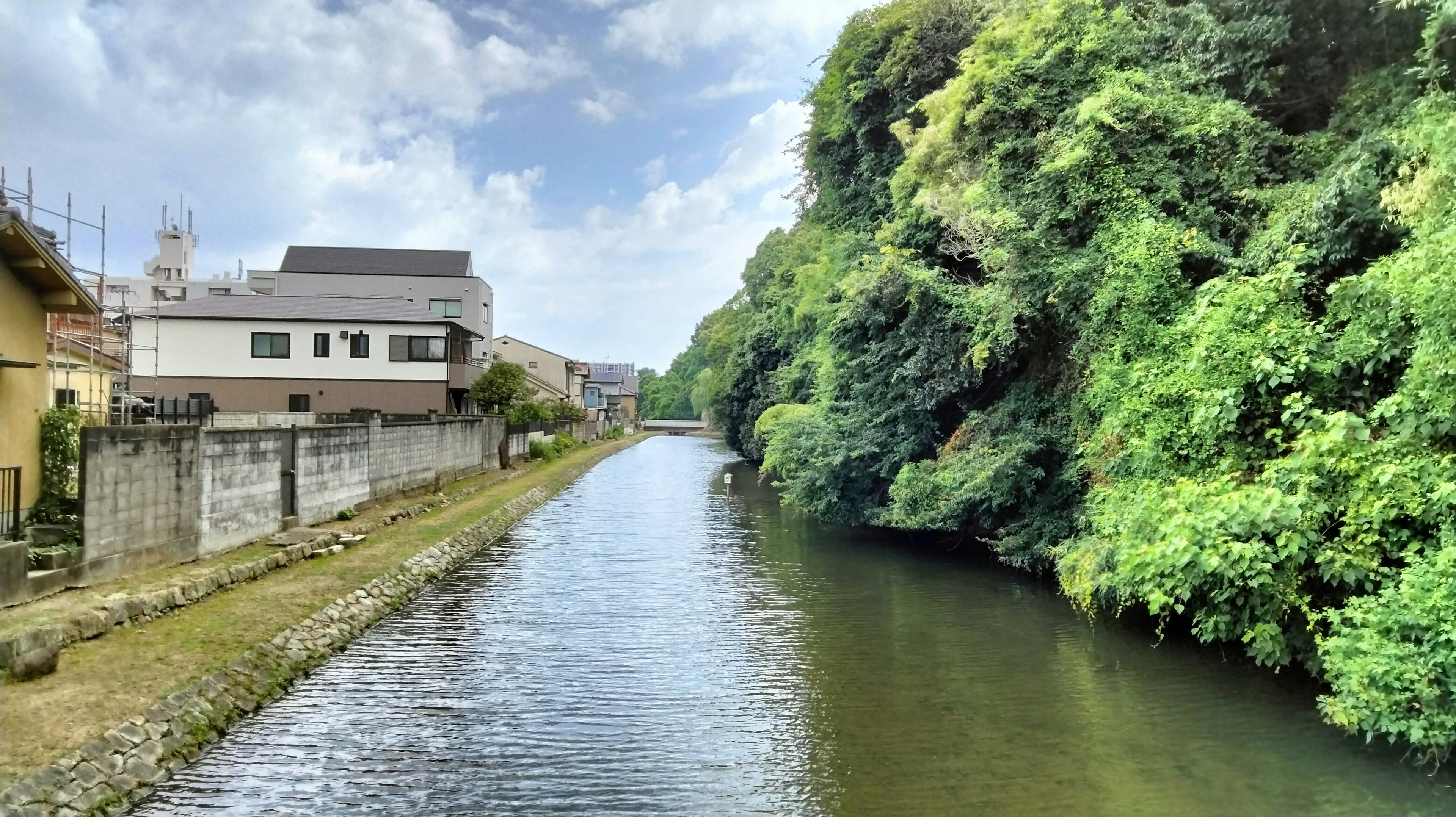 Vista escénica de un río verde con casas a lo largo de sus orillas