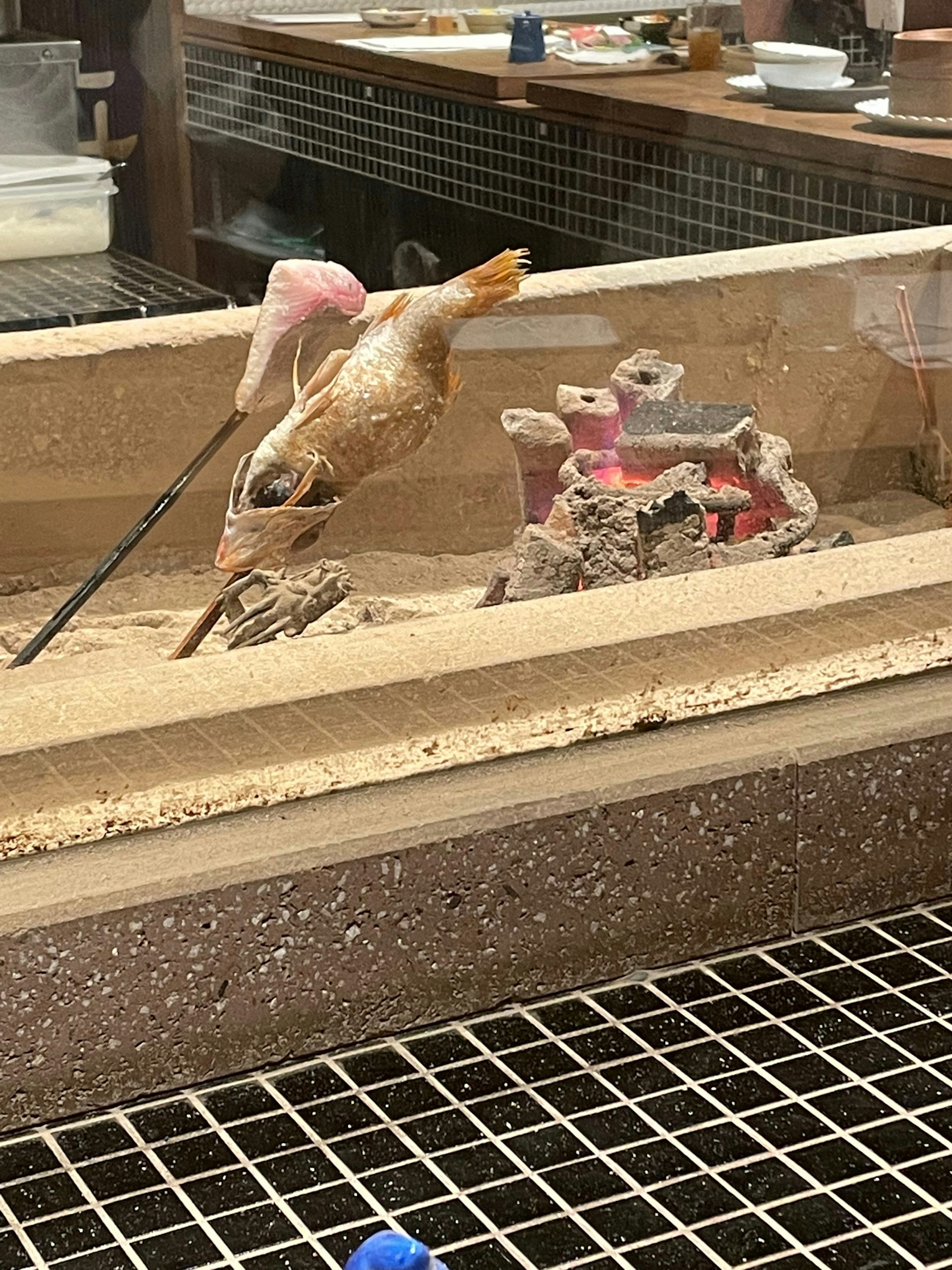 A fish swimming in a tank with sand and coral decorations