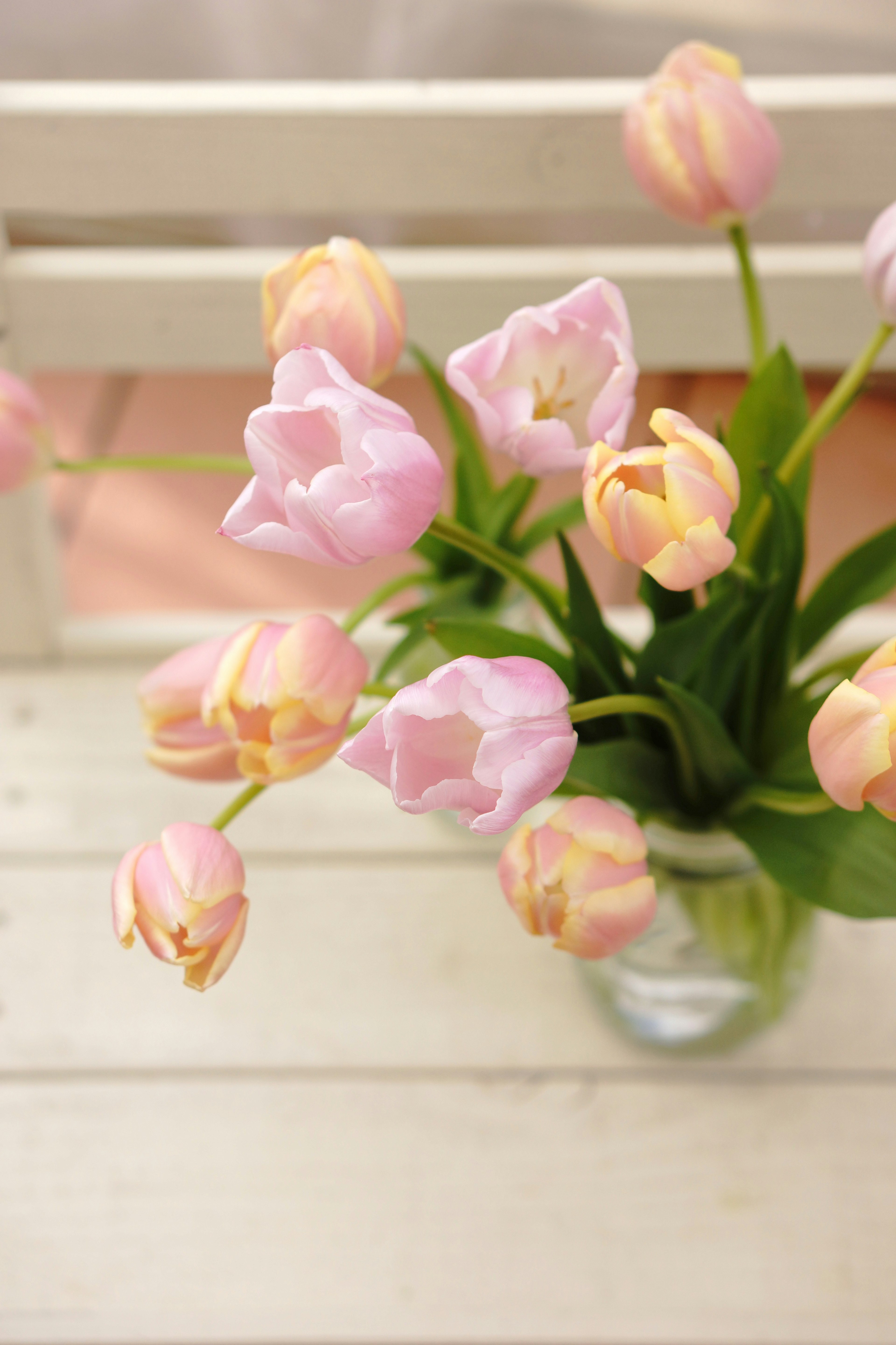 Un mazzo di tulipani rosa in un vaso di vetro